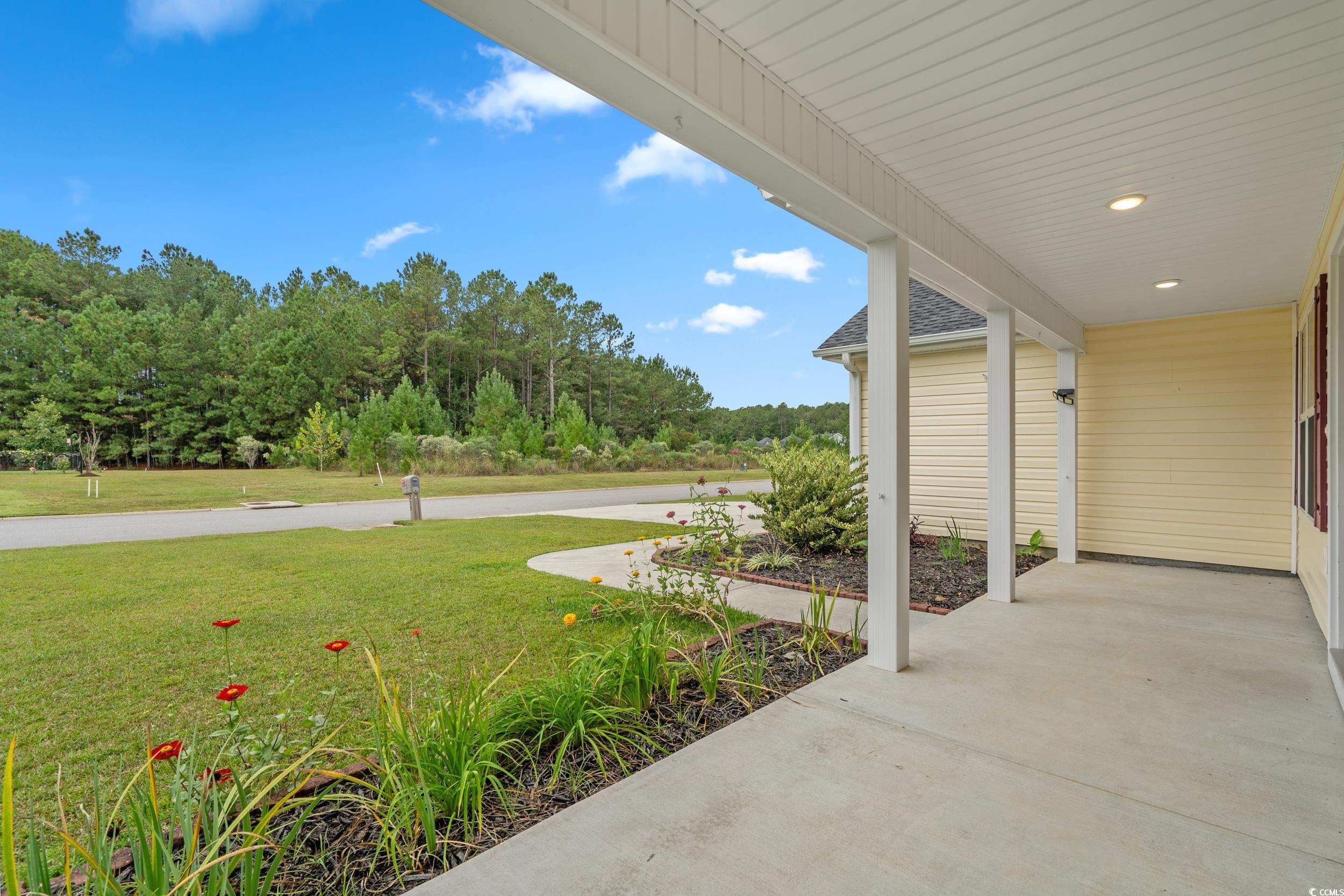 355 MacArthur Dr.