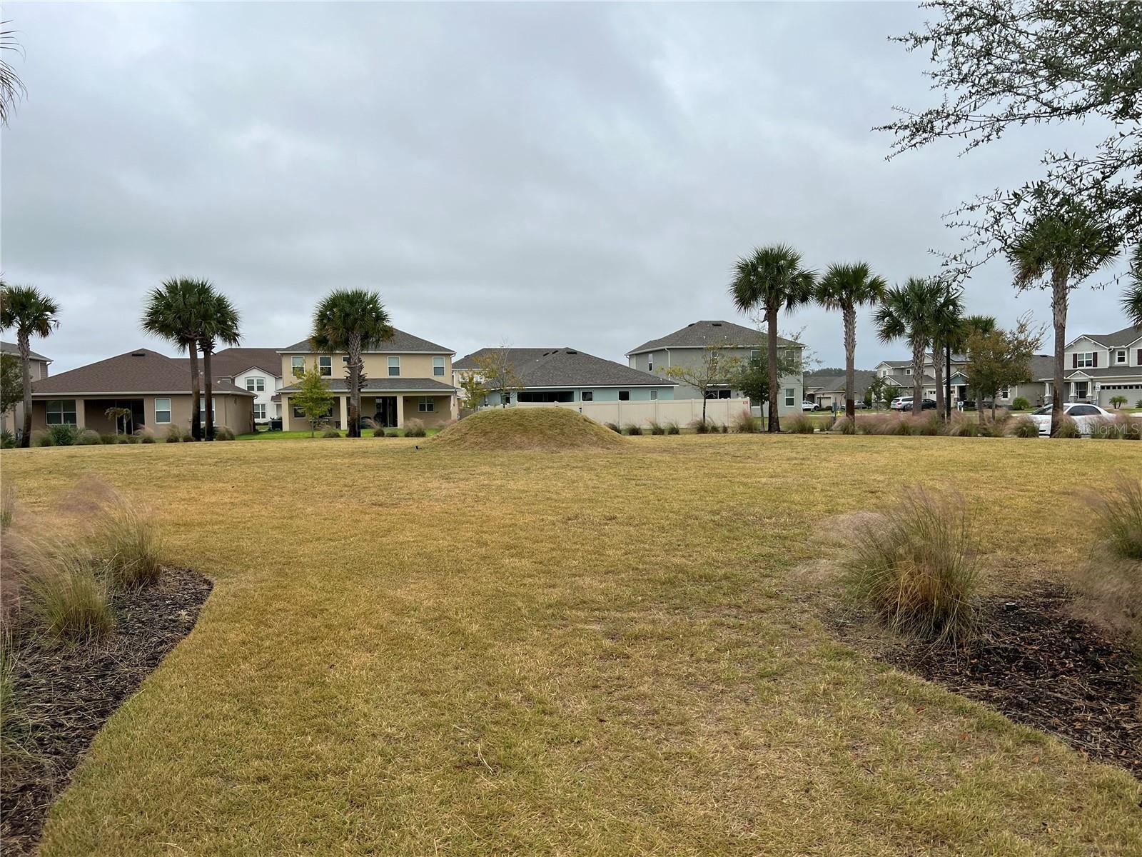 2941 FIREBUSH WAY