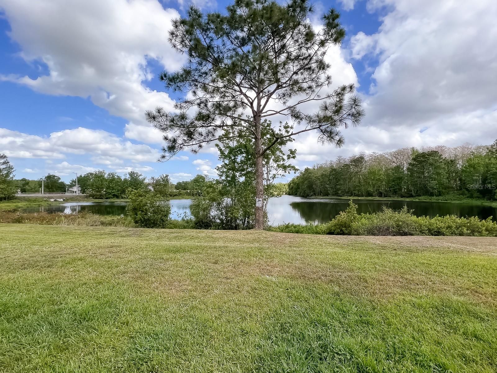 535 TREE SHORE DR
