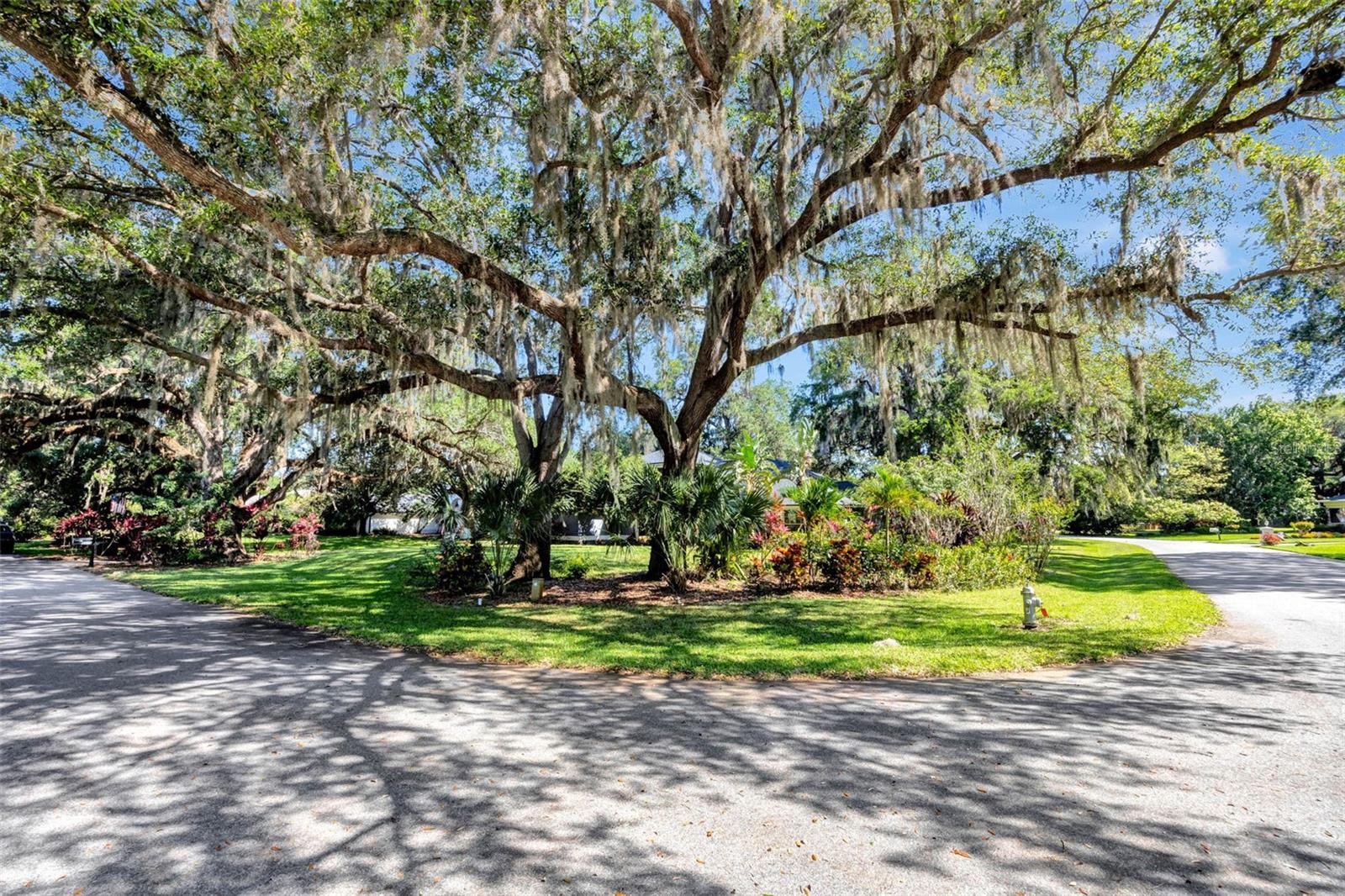 5301 FOREST BREEZE CT