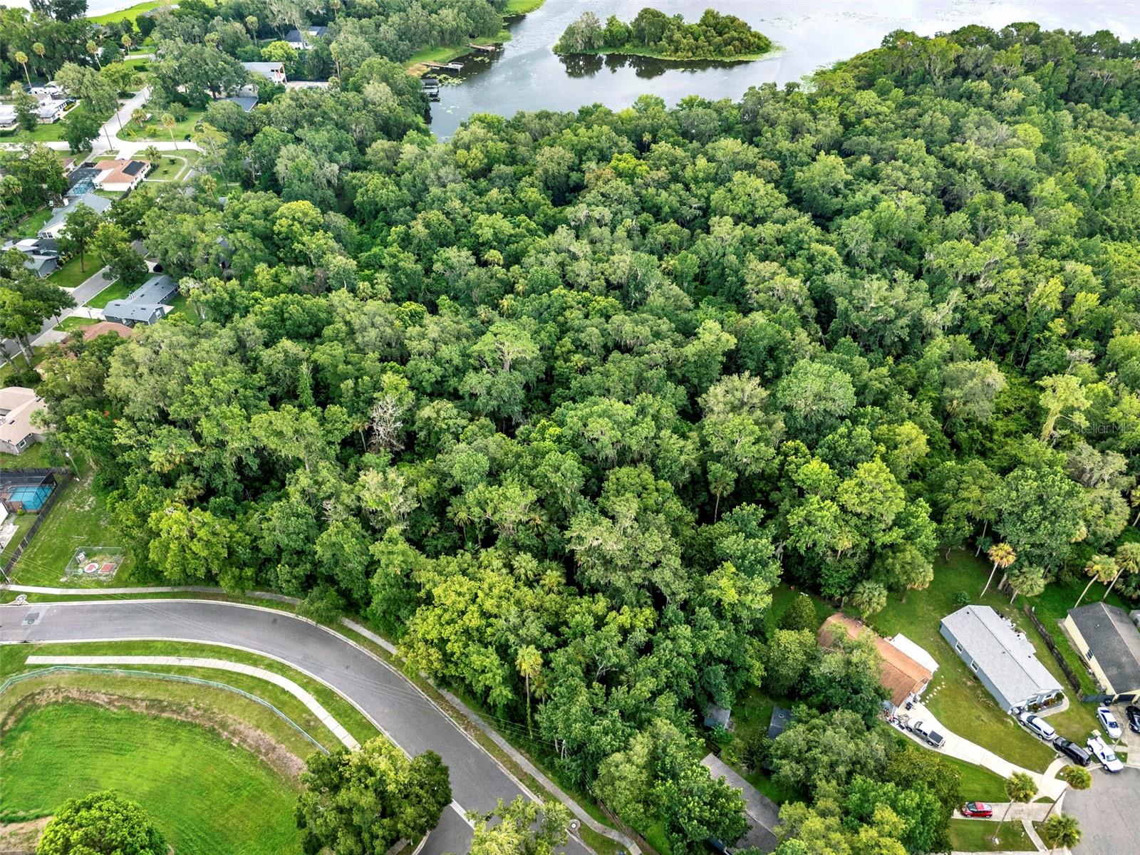 390 LAKE MCCOY DR