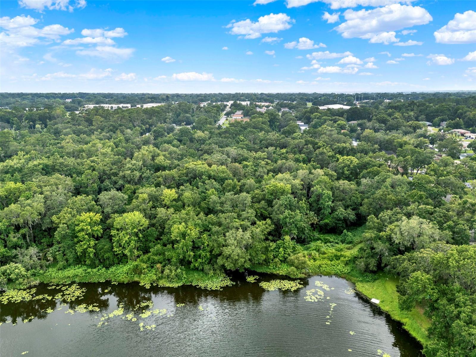 390 LAKE MCCOY DR
