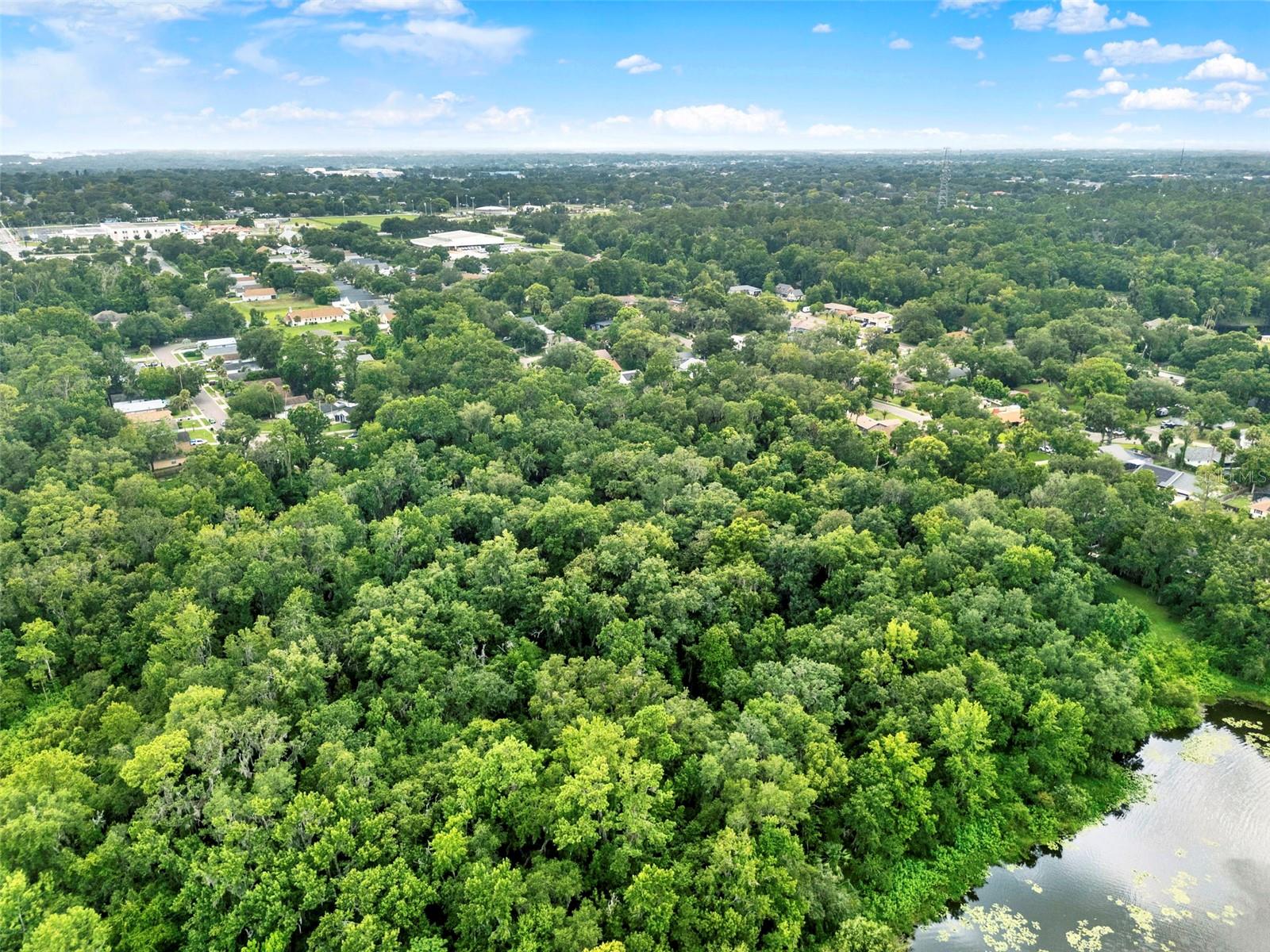 390 LAKE MCCOY DR