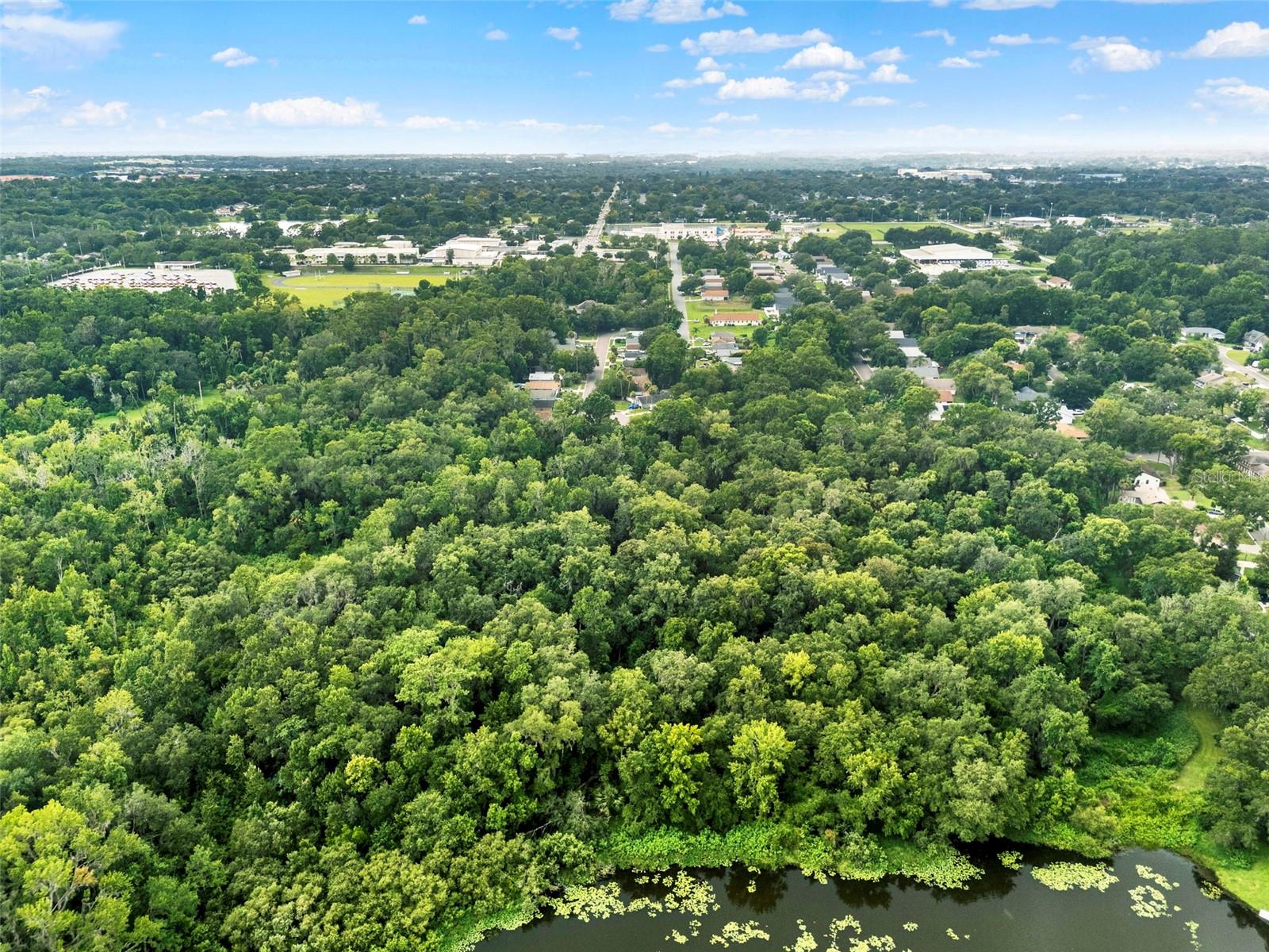 390 LAKE MCCOY DR