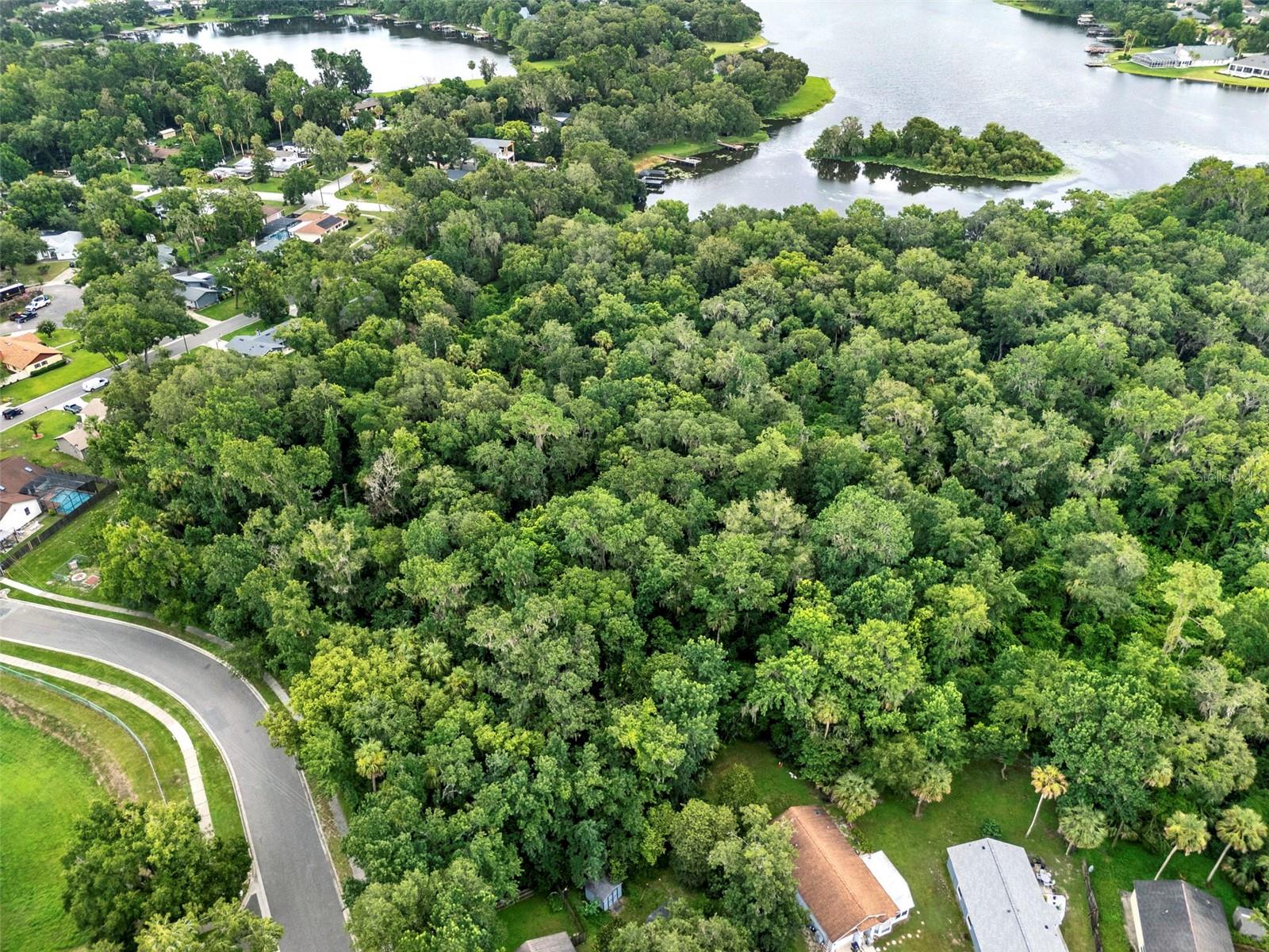 390 LAKE MCCOY DR