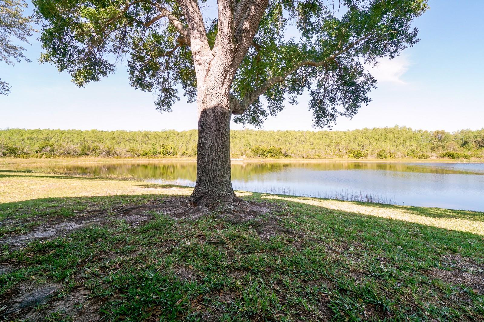 13518 BRIARMOOR CT