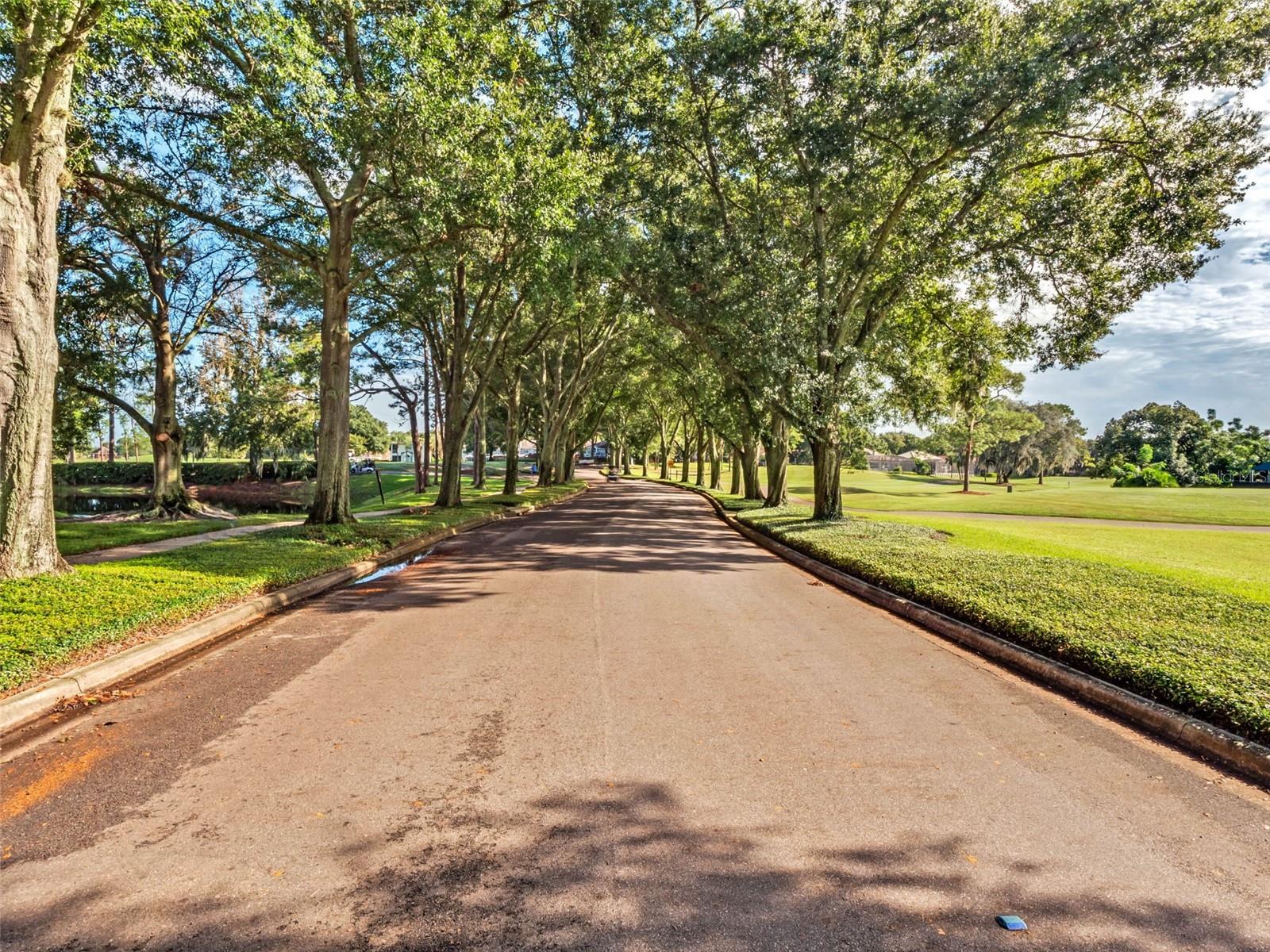 1206 SAINT ALBANS LOOP