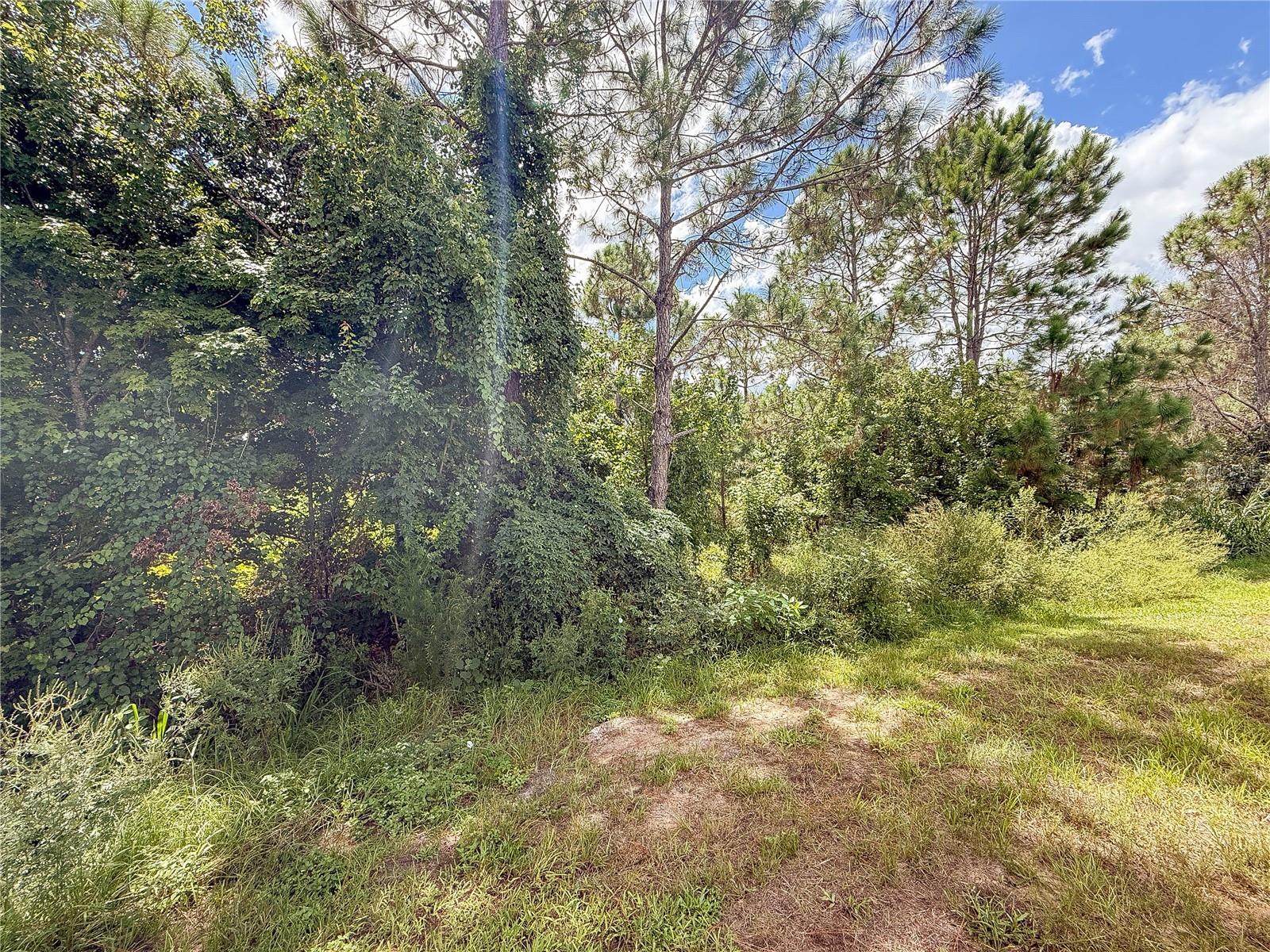 156 GLASS ONION DR