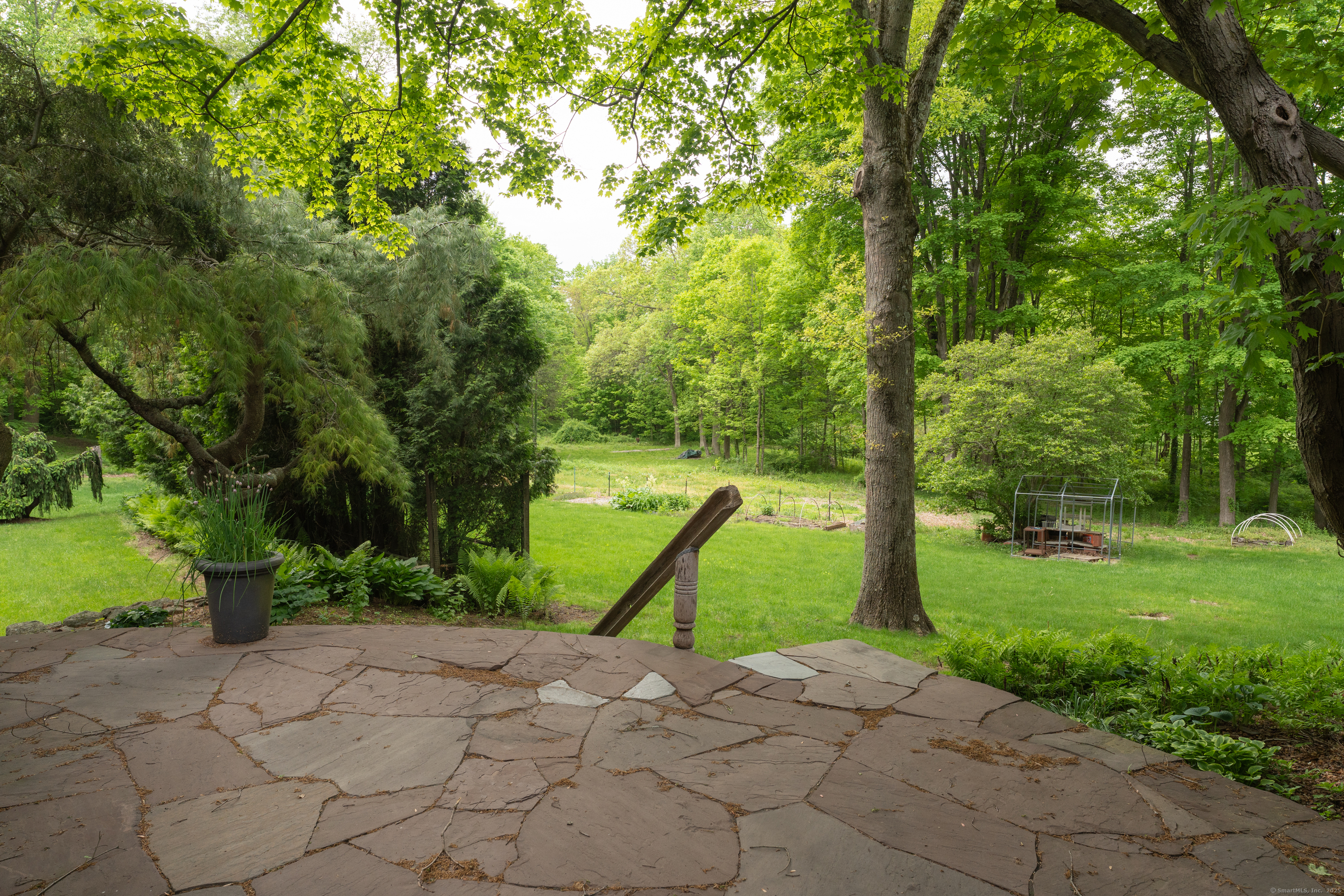 804 Forest Road