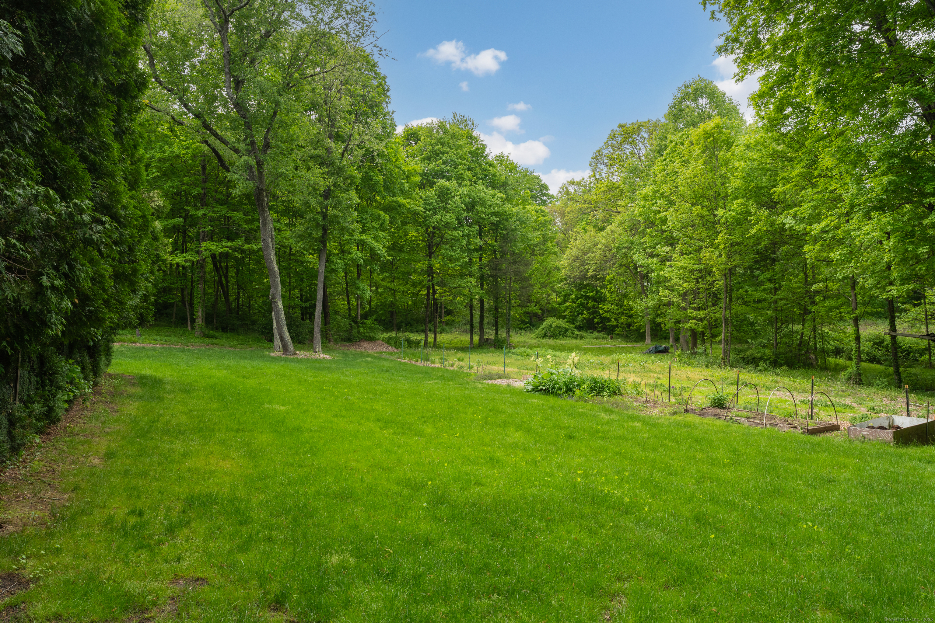 804 Forest Road