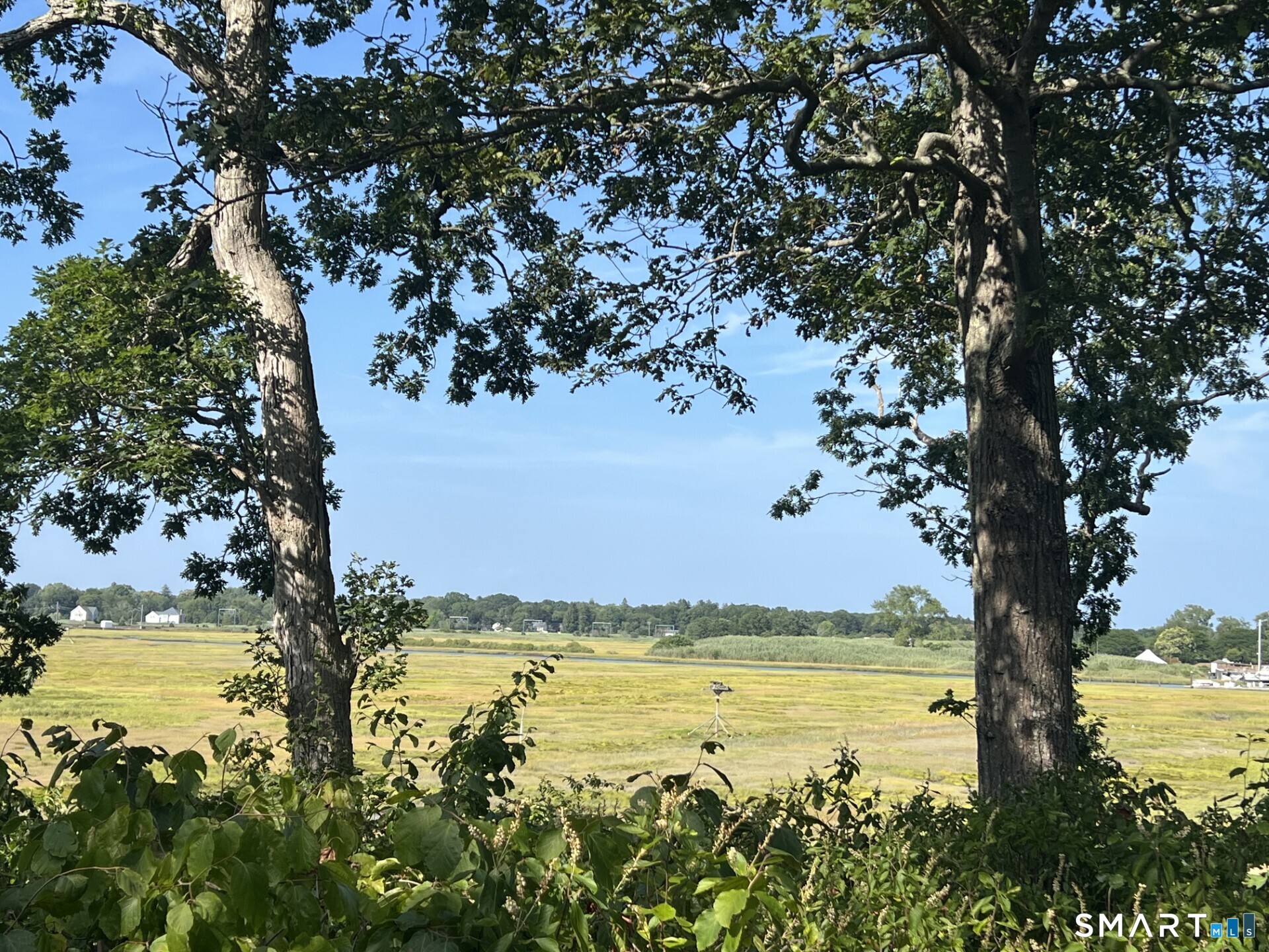 194 Chaffinch Island Road