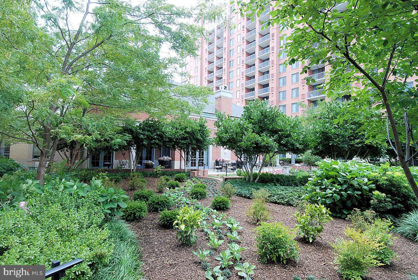 11710 Old Georgetown Rd #323