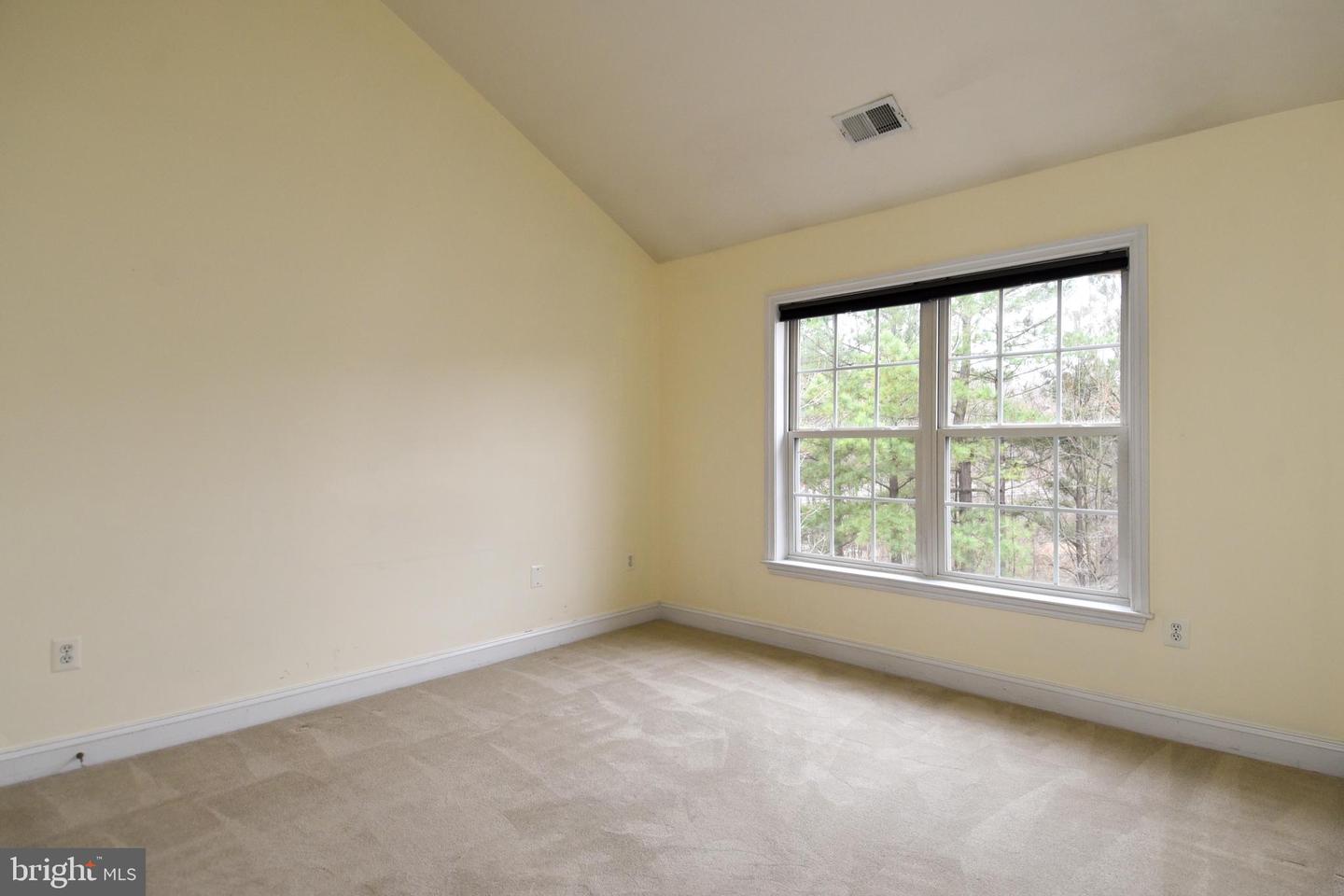 12009 Treeline Way