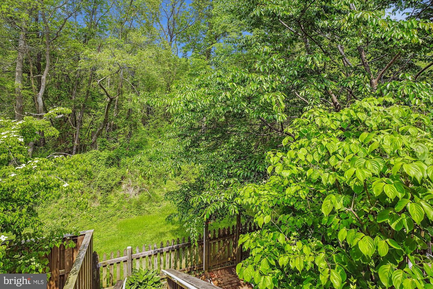 15632 Cliff Swallow Way