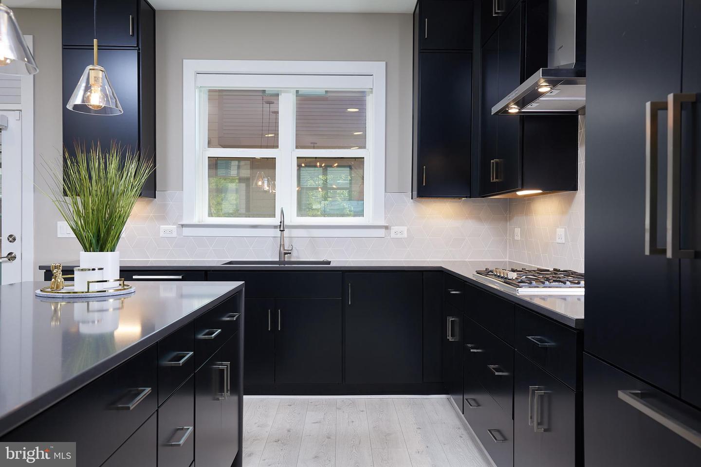 3701 Blue Lobelia Way