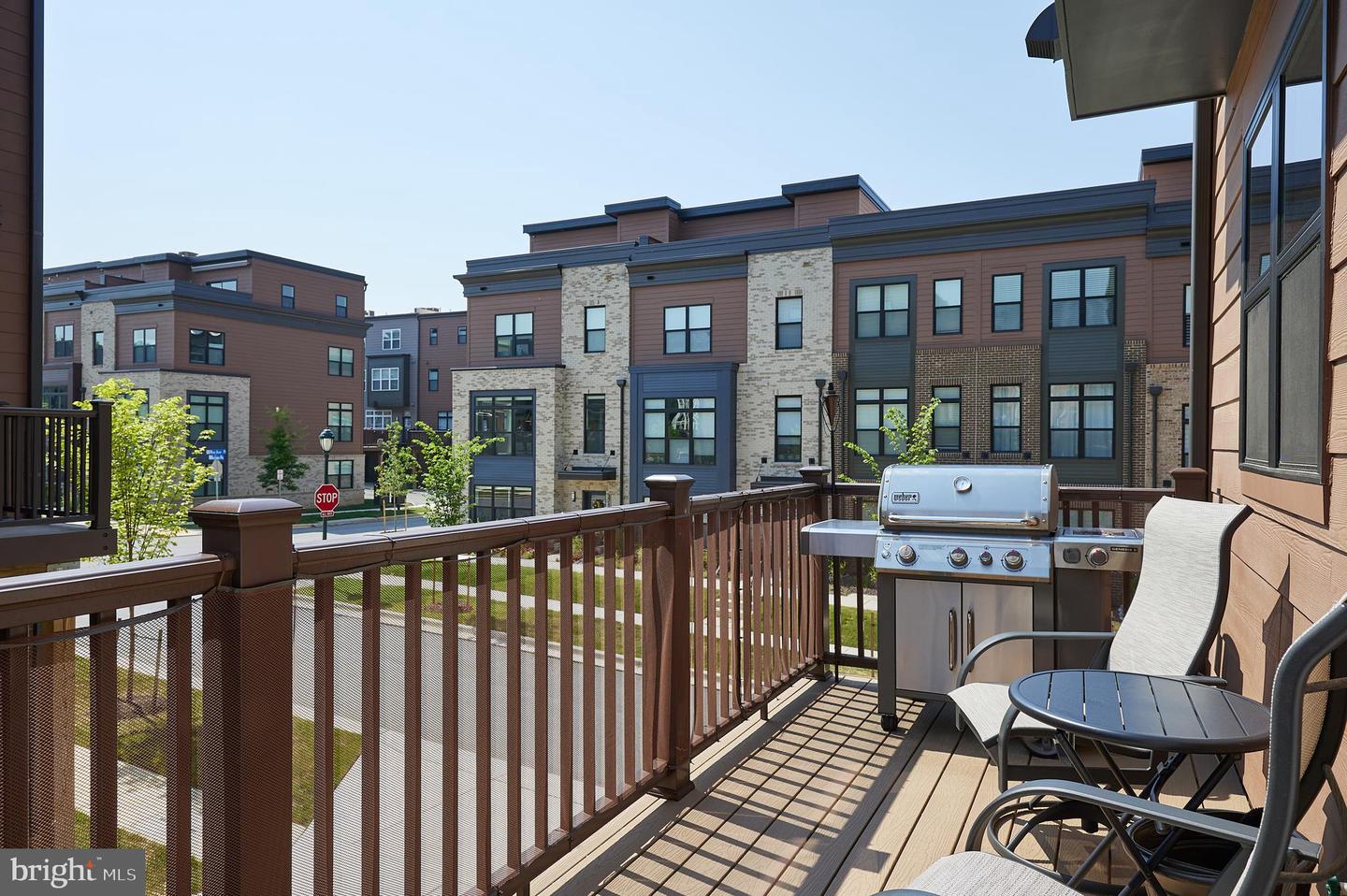 3701 Blue Lobelia Way