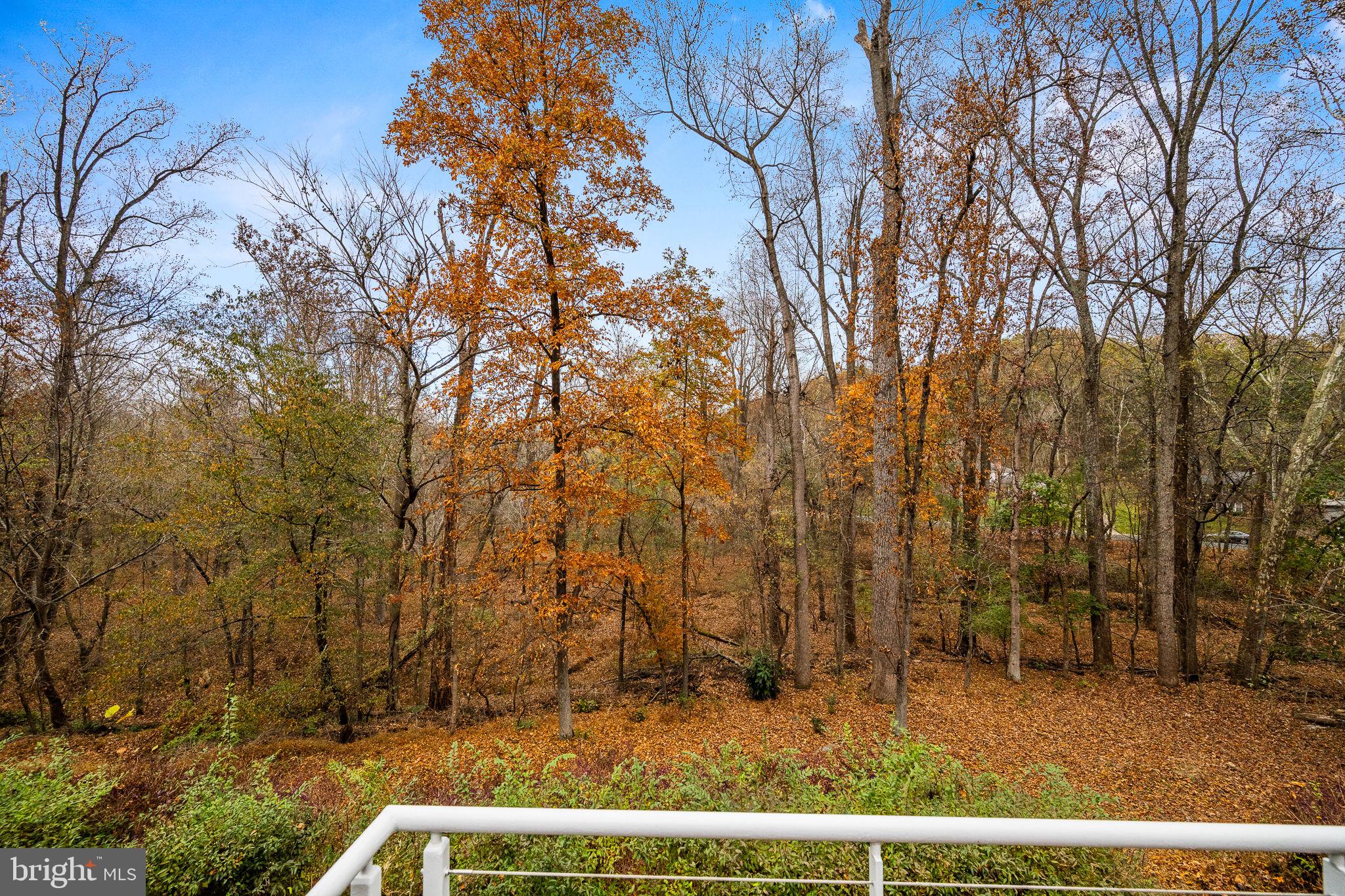 11932 Ledgerock Ct
