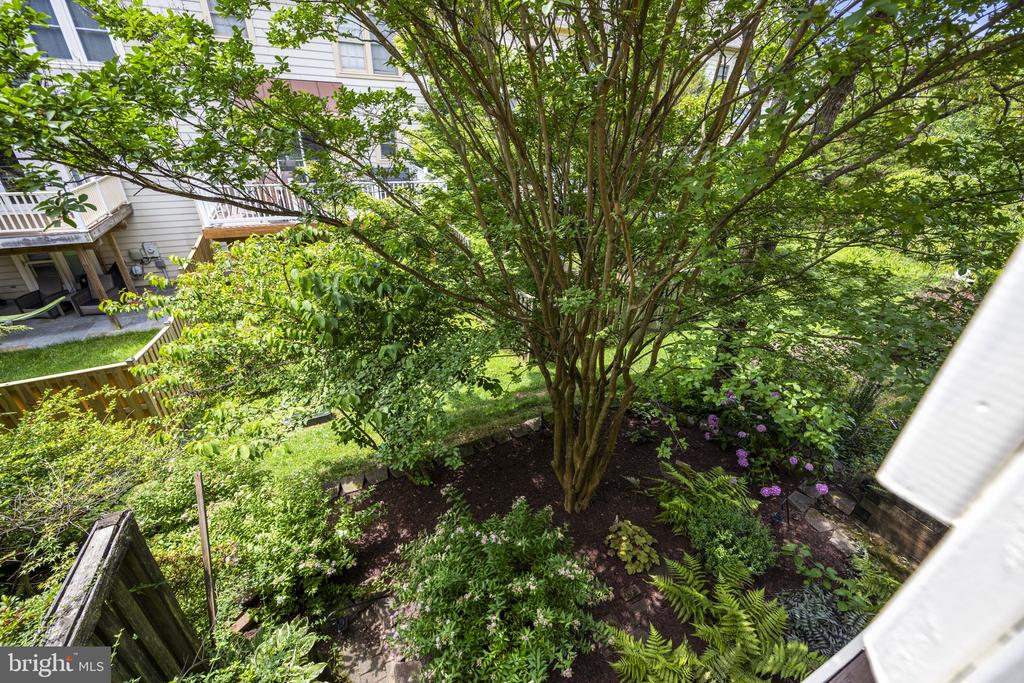 15408 Sterling Dr