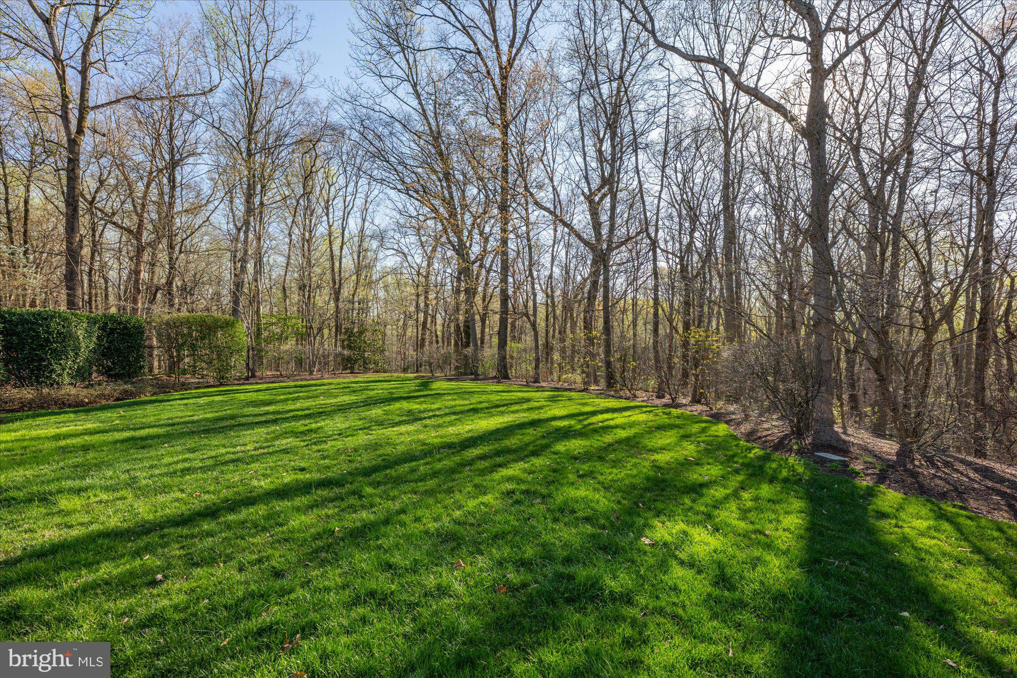 10948 Martingale Ct