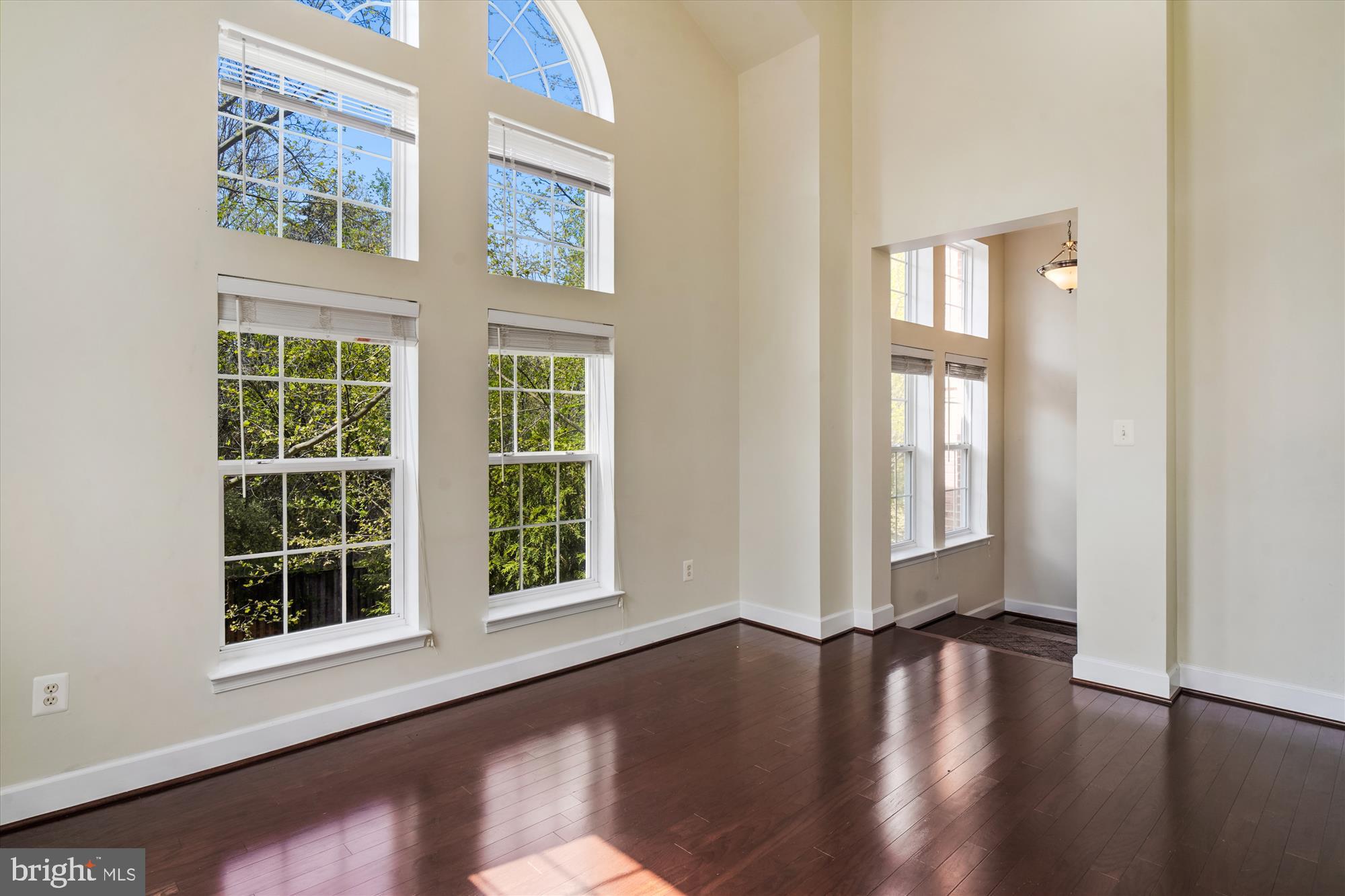 19437 Dover Cliffs Cir