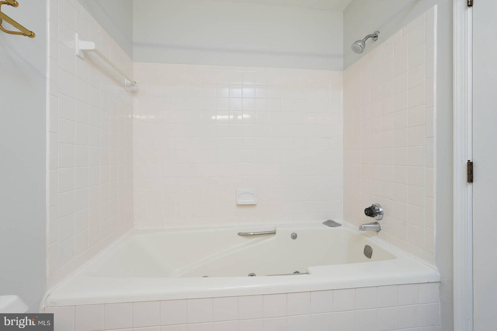 800 AMBER TREE COURT 204