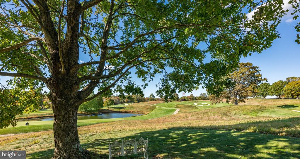 18 BEMAN WOODS COURT