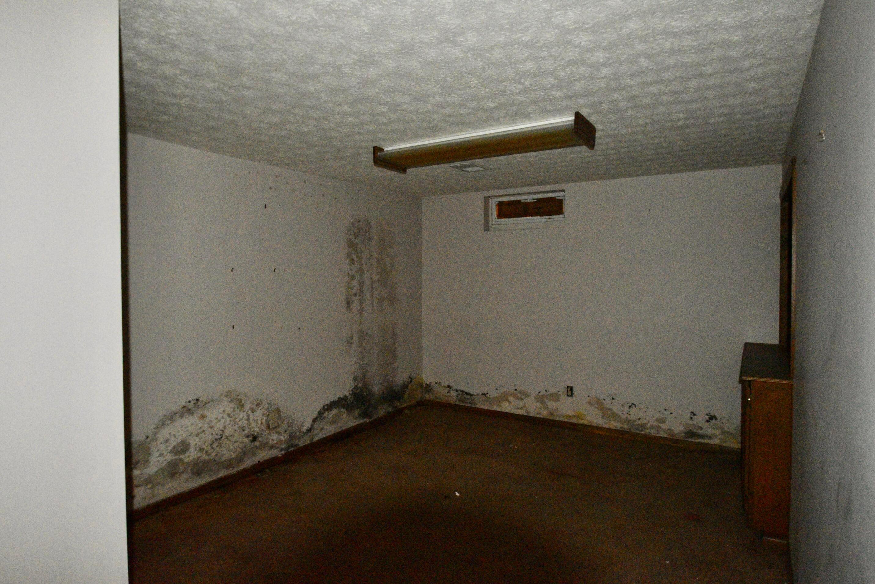 684 Georgian Drive
