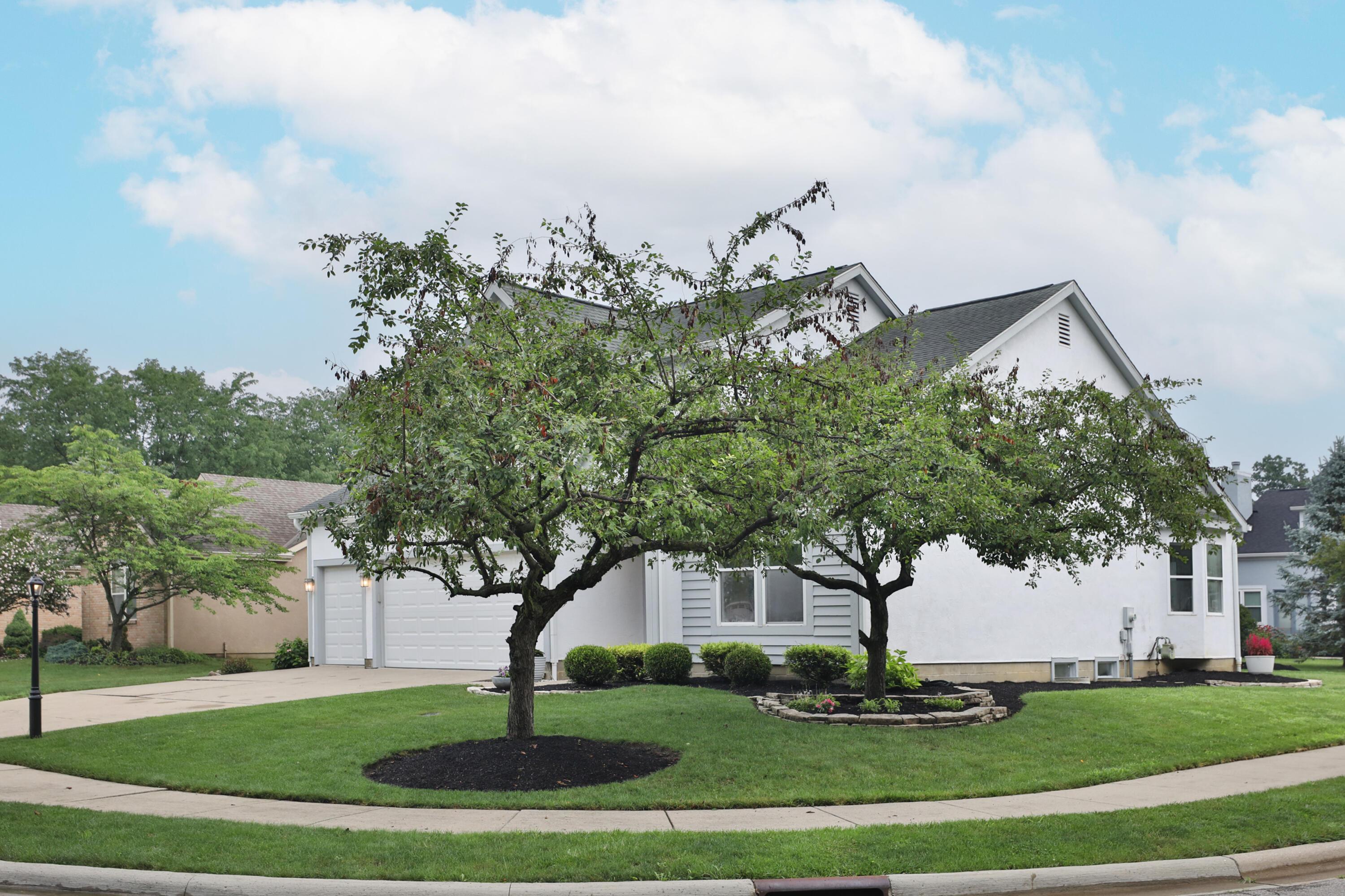 386 Shelby Avenue W