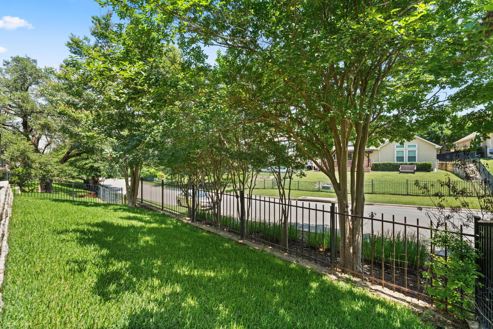 31 Cypress Knee LN # 93