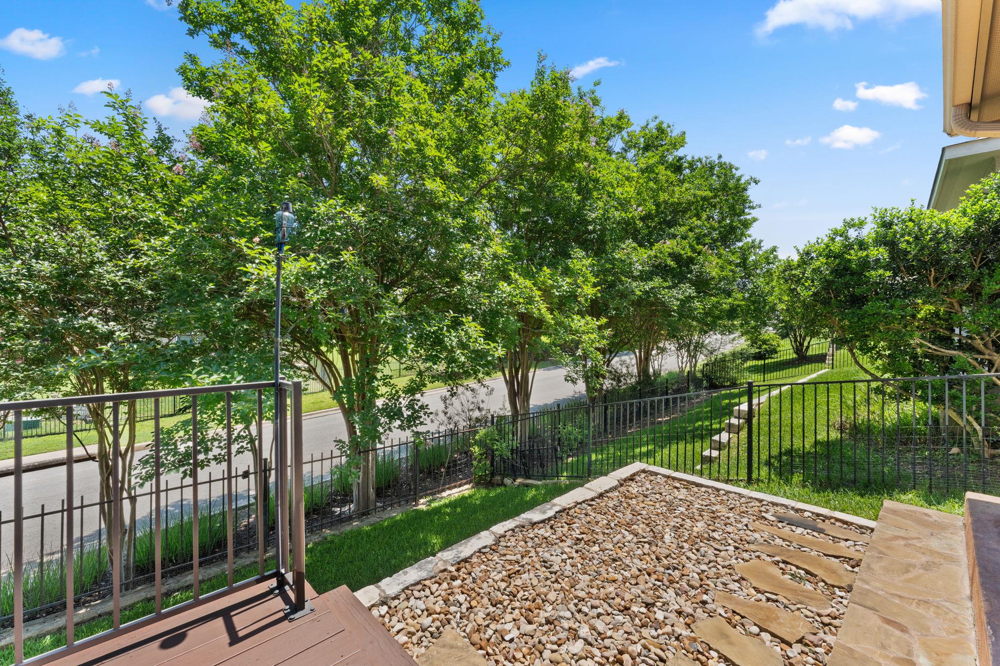 31 Cypress Knee LN # 93