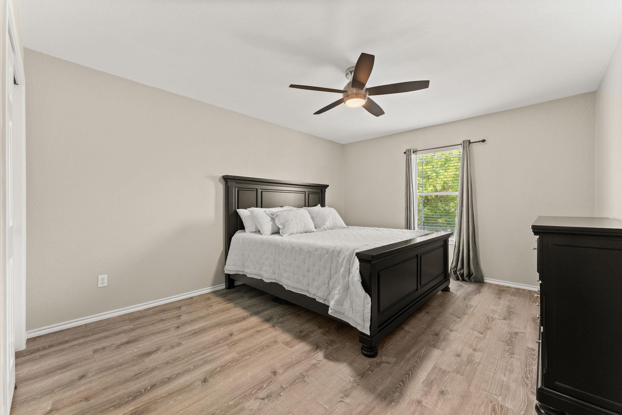 31 Cypress Knee LN # 93