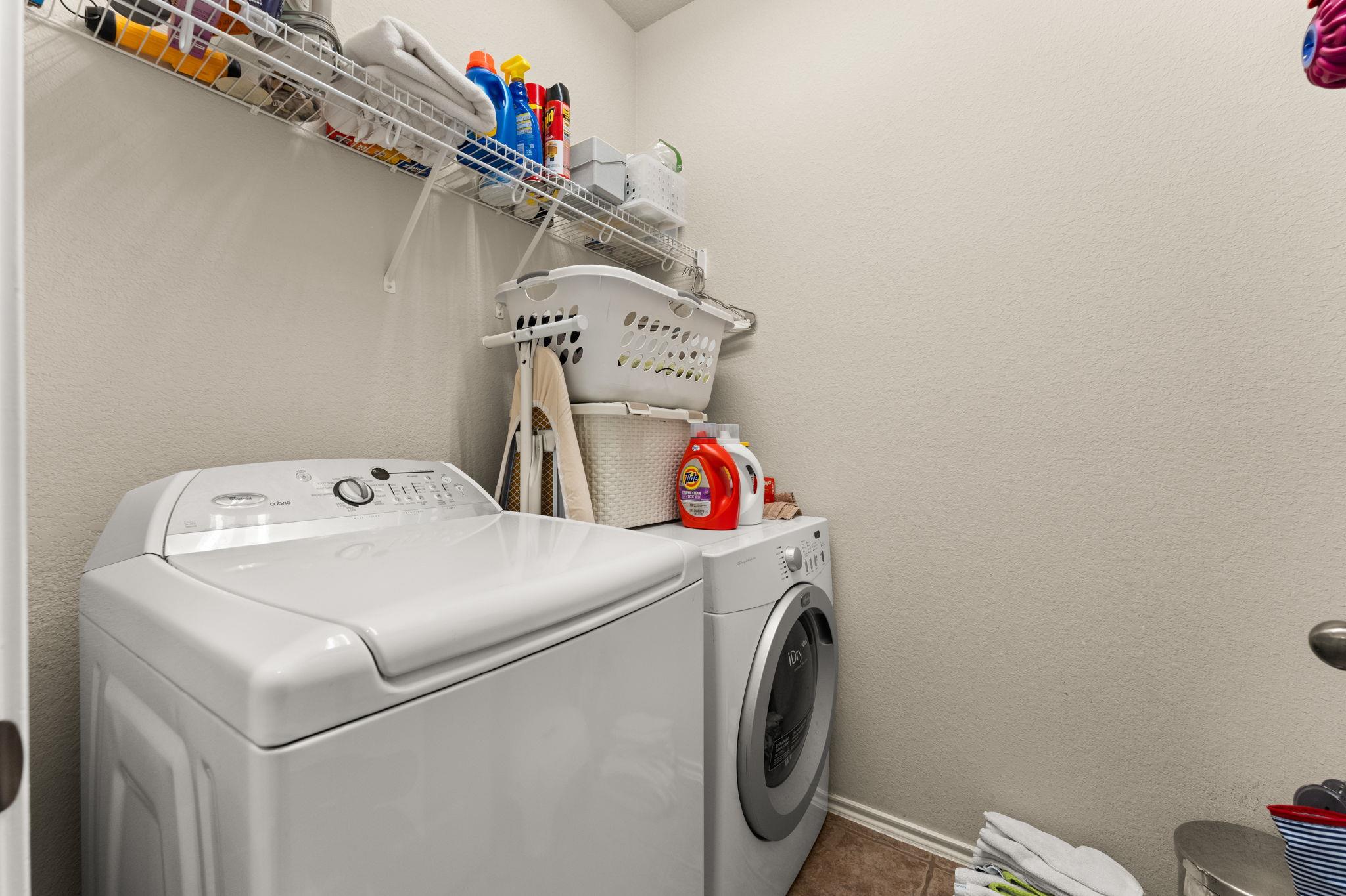 31 Cypress Knee LN # 93