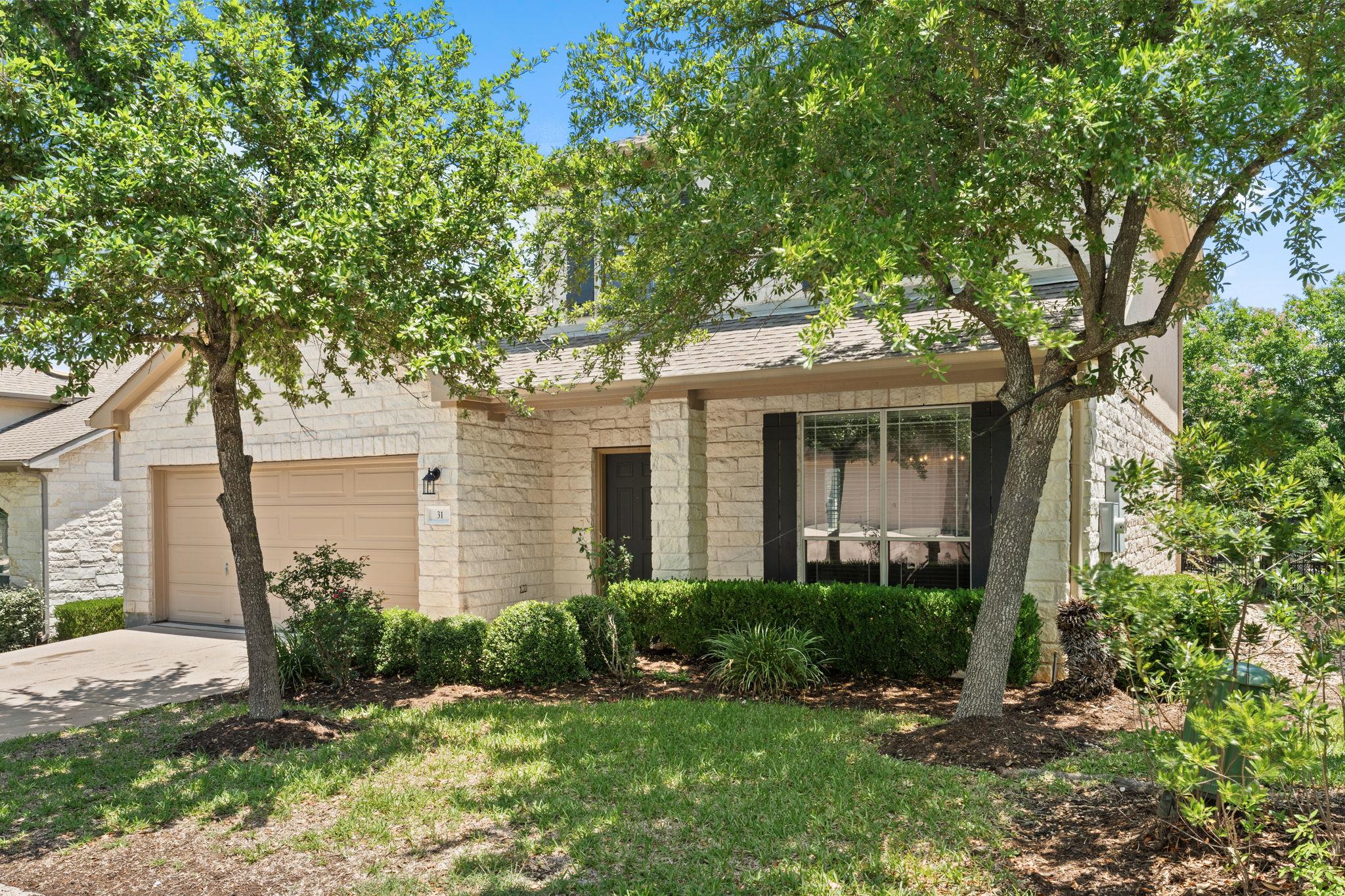 31 Cypress Knee LN # 93