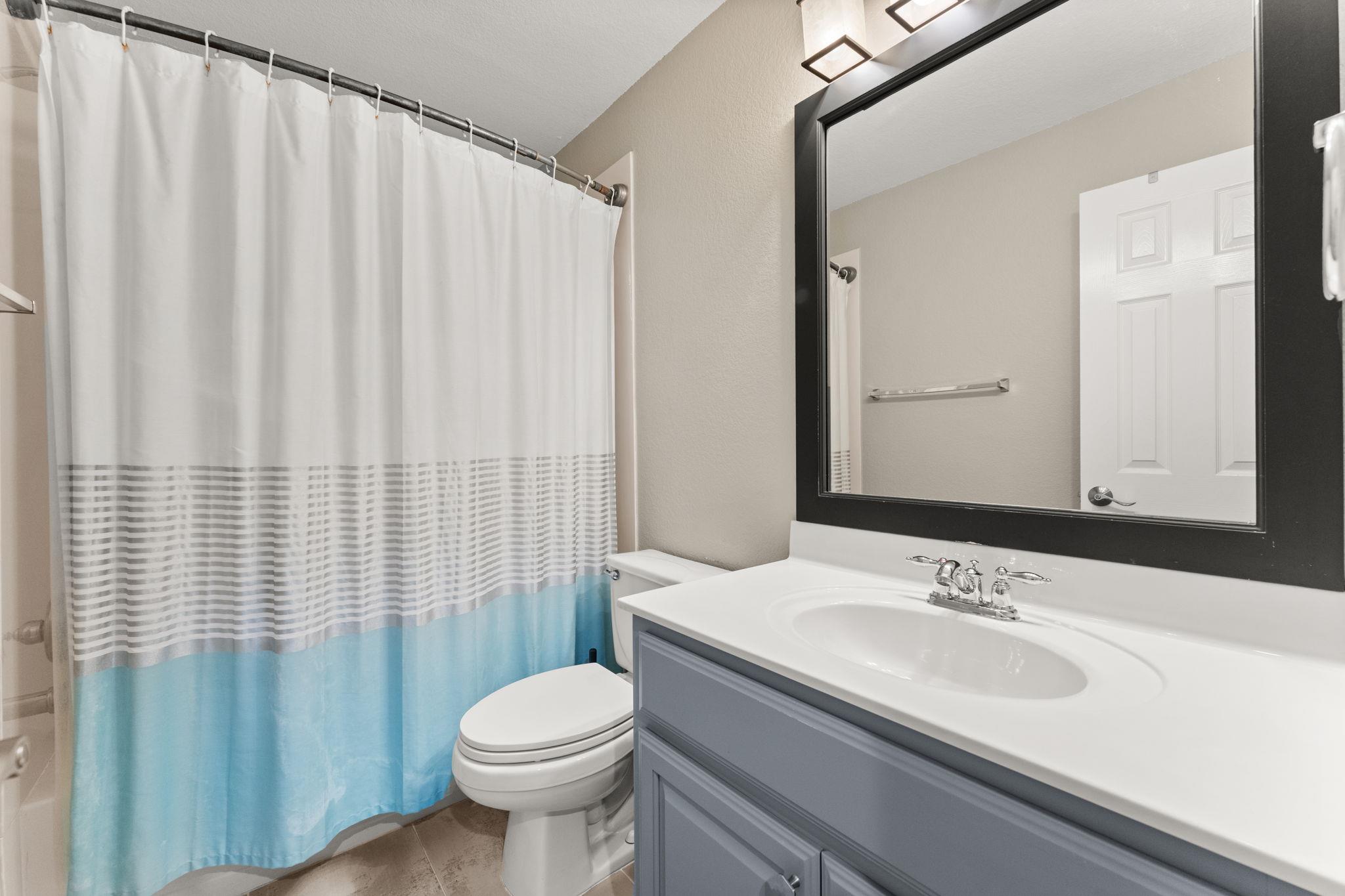 31 Cypress Knee LN # 93