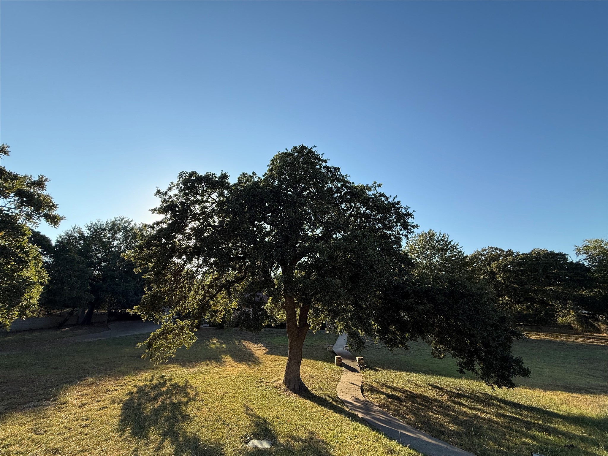 1920 Fox Hollow Circle