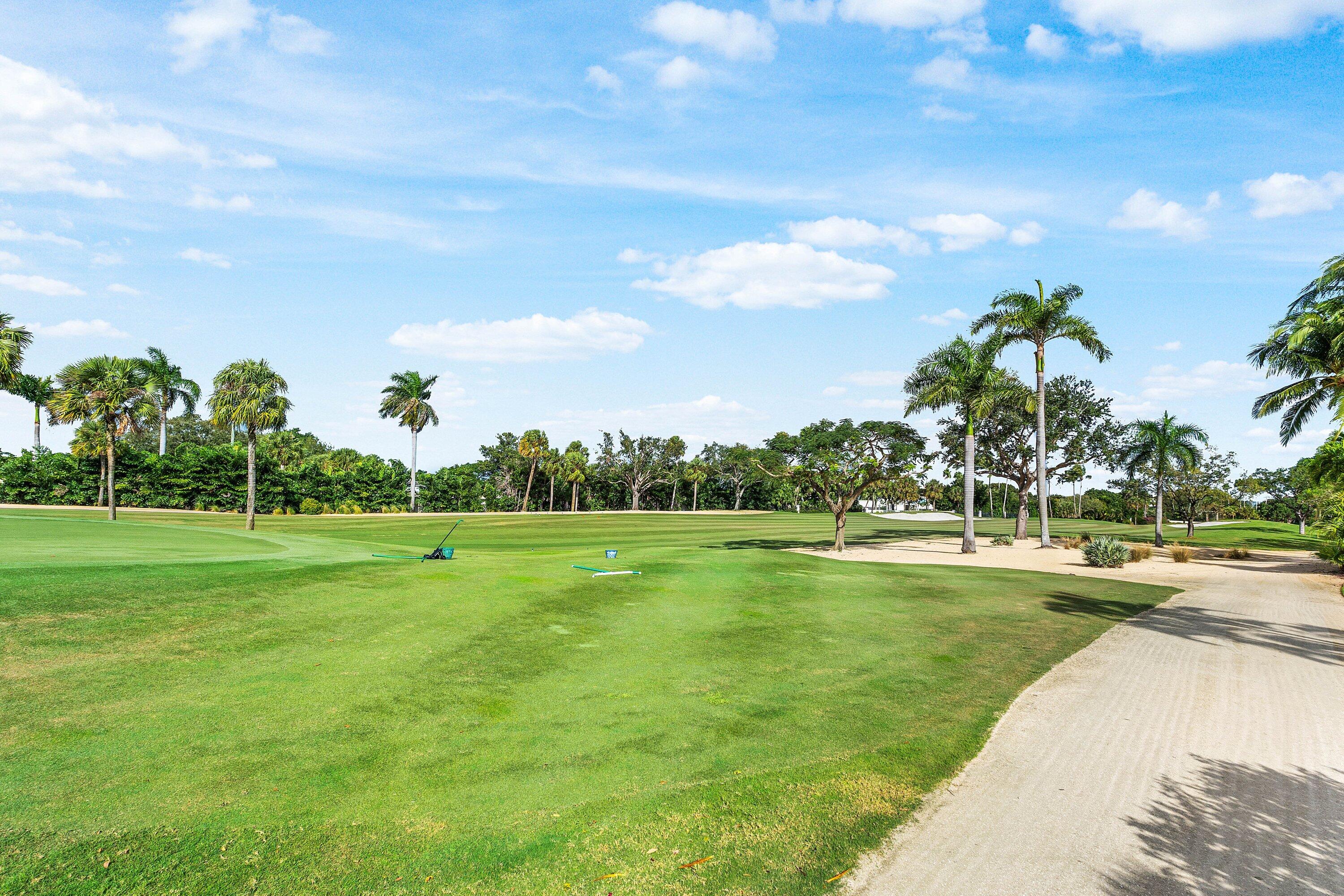 2041 Thatch Palm Drive