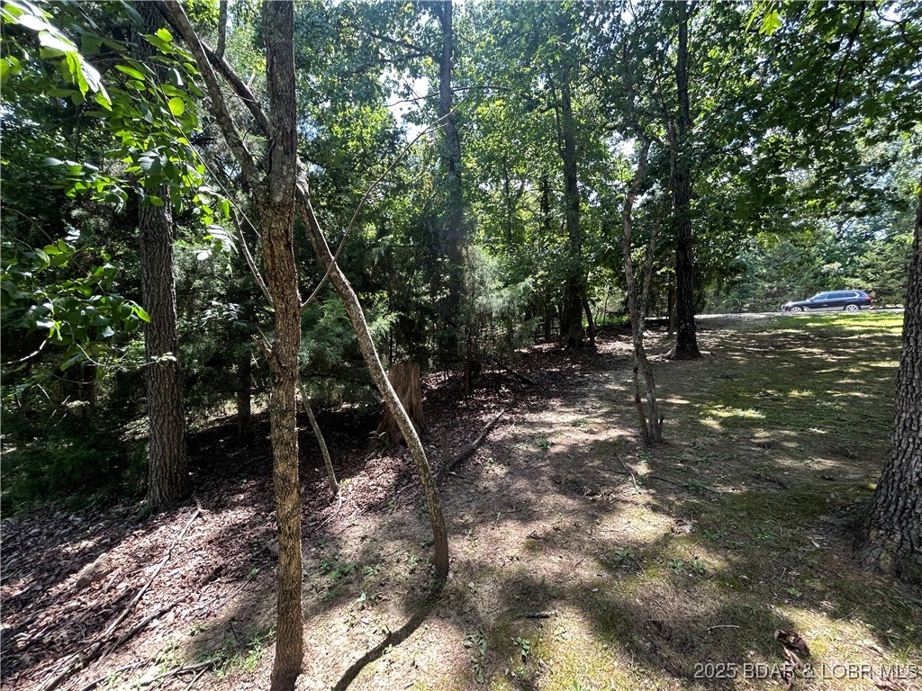 lot 29 Cornett Drive