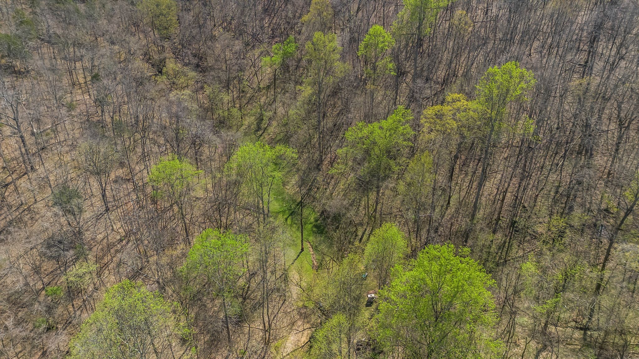 4897 Sulphur Creek Rd