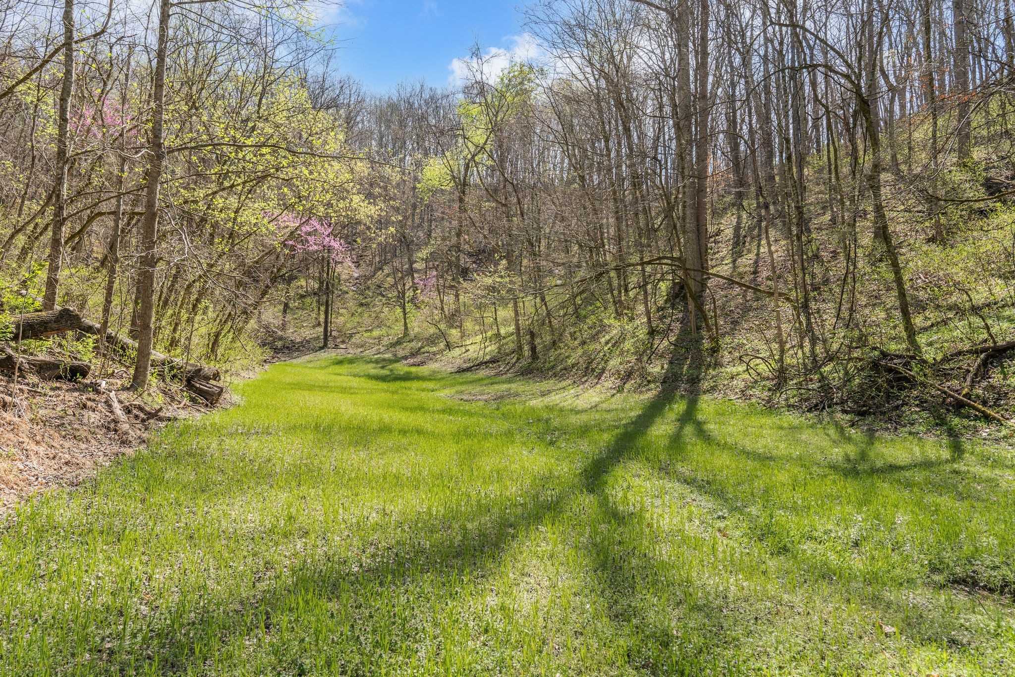 4897 Sulphur Creek Rd