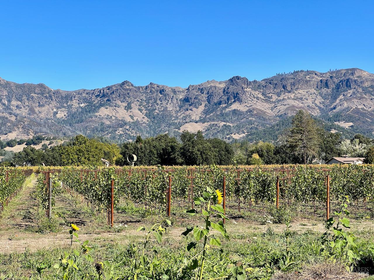 3216 State Highway 128