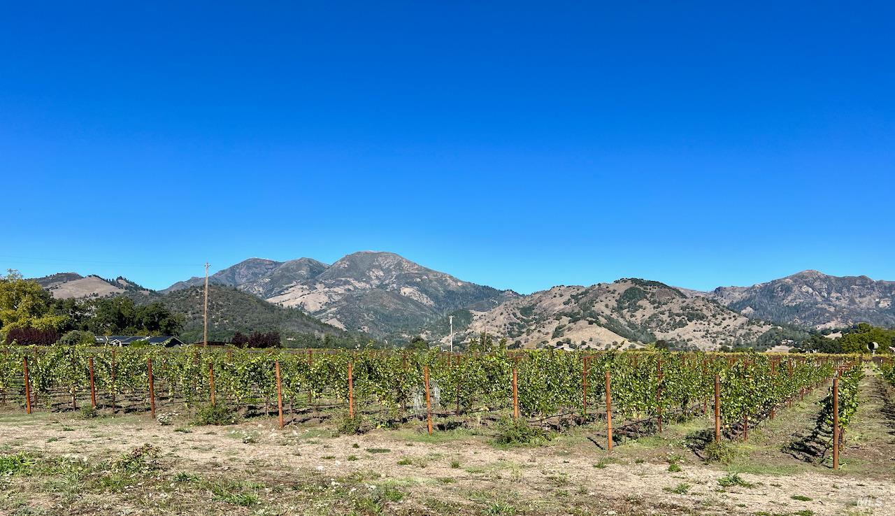 3216 State Highway 128