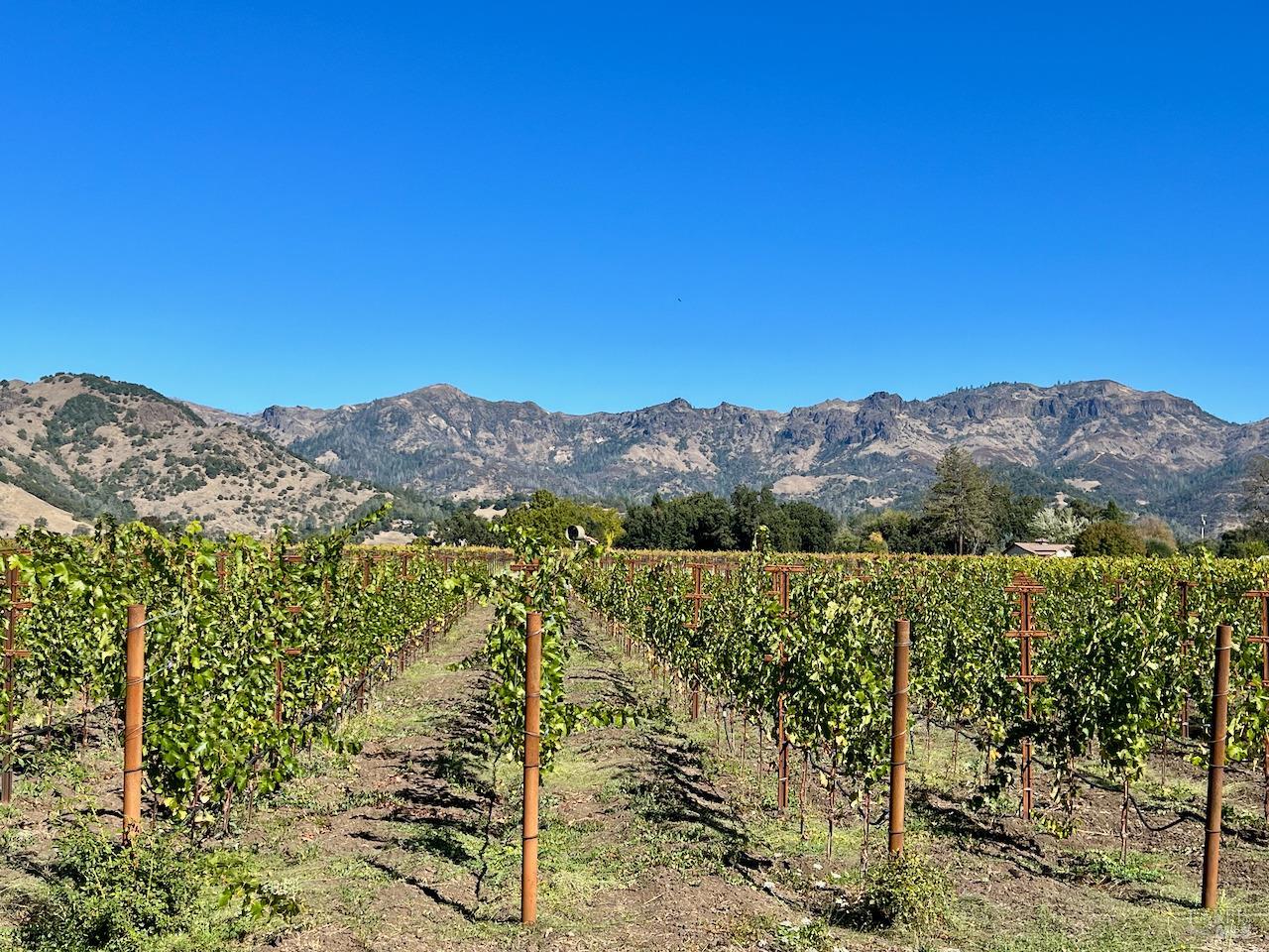 3216 State Highway 128