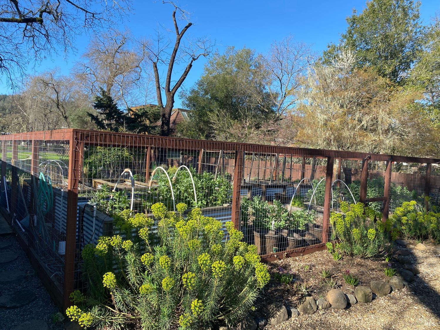 2412 Foothill Blvd #144