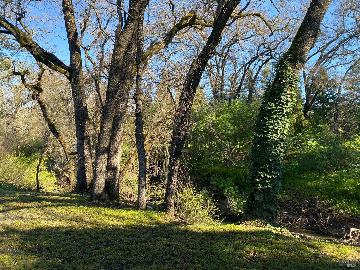 2412 Foothill Blvd #144