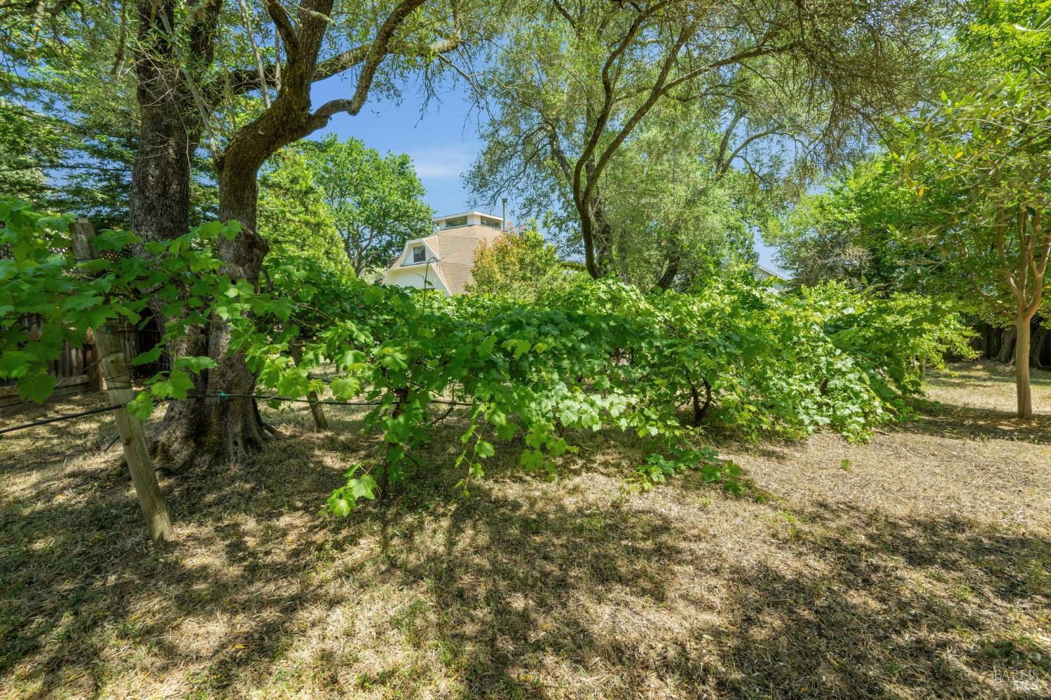 18380 Cottonwood Ave