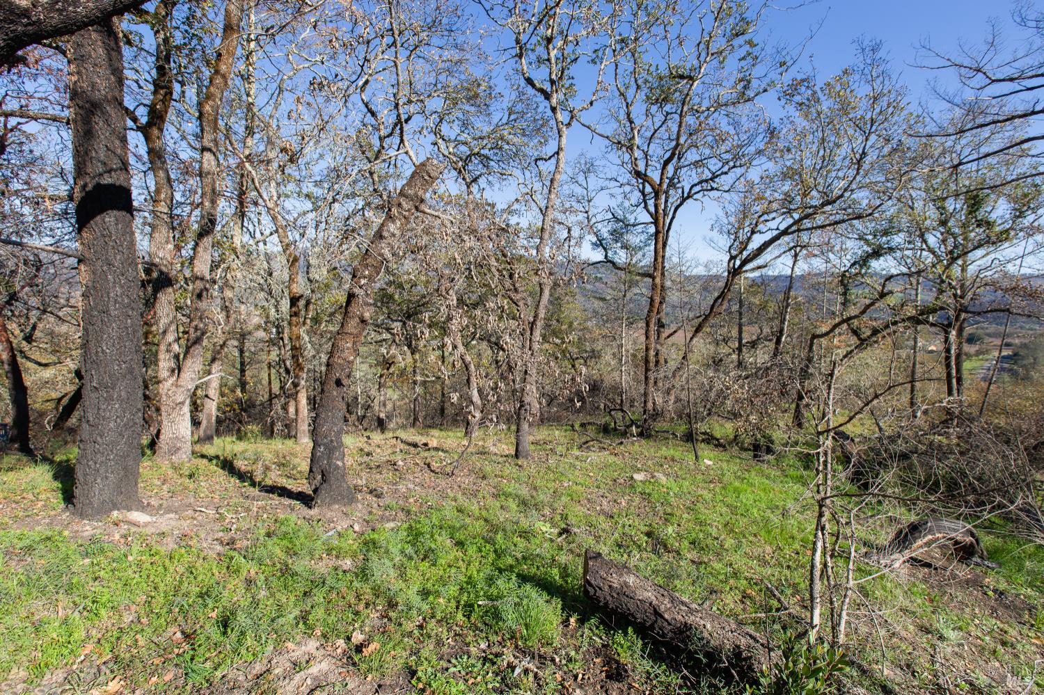 Tucker Rd