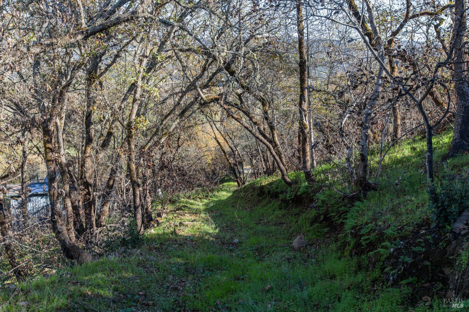 Tucker Rd