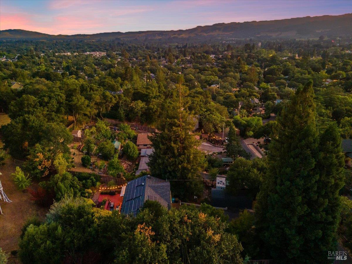 1200 Calle Del Arroyo