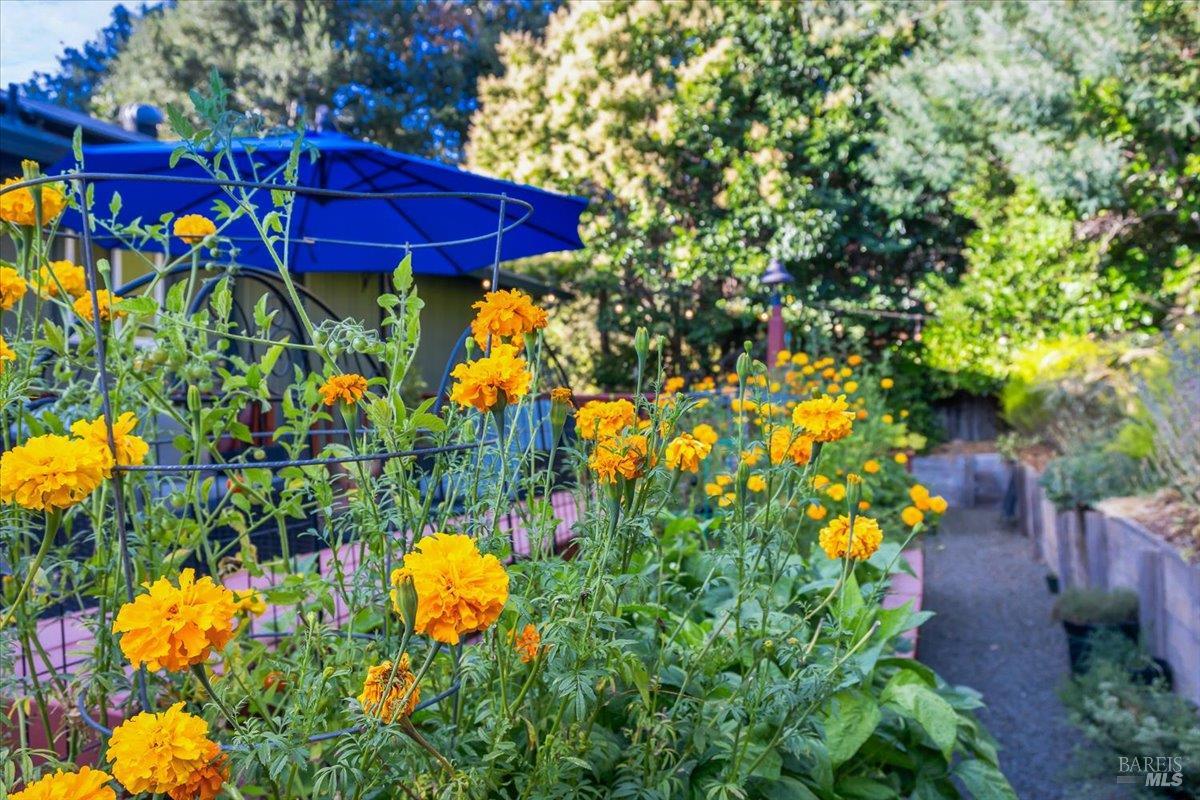 1200 Calle Del Arroyo