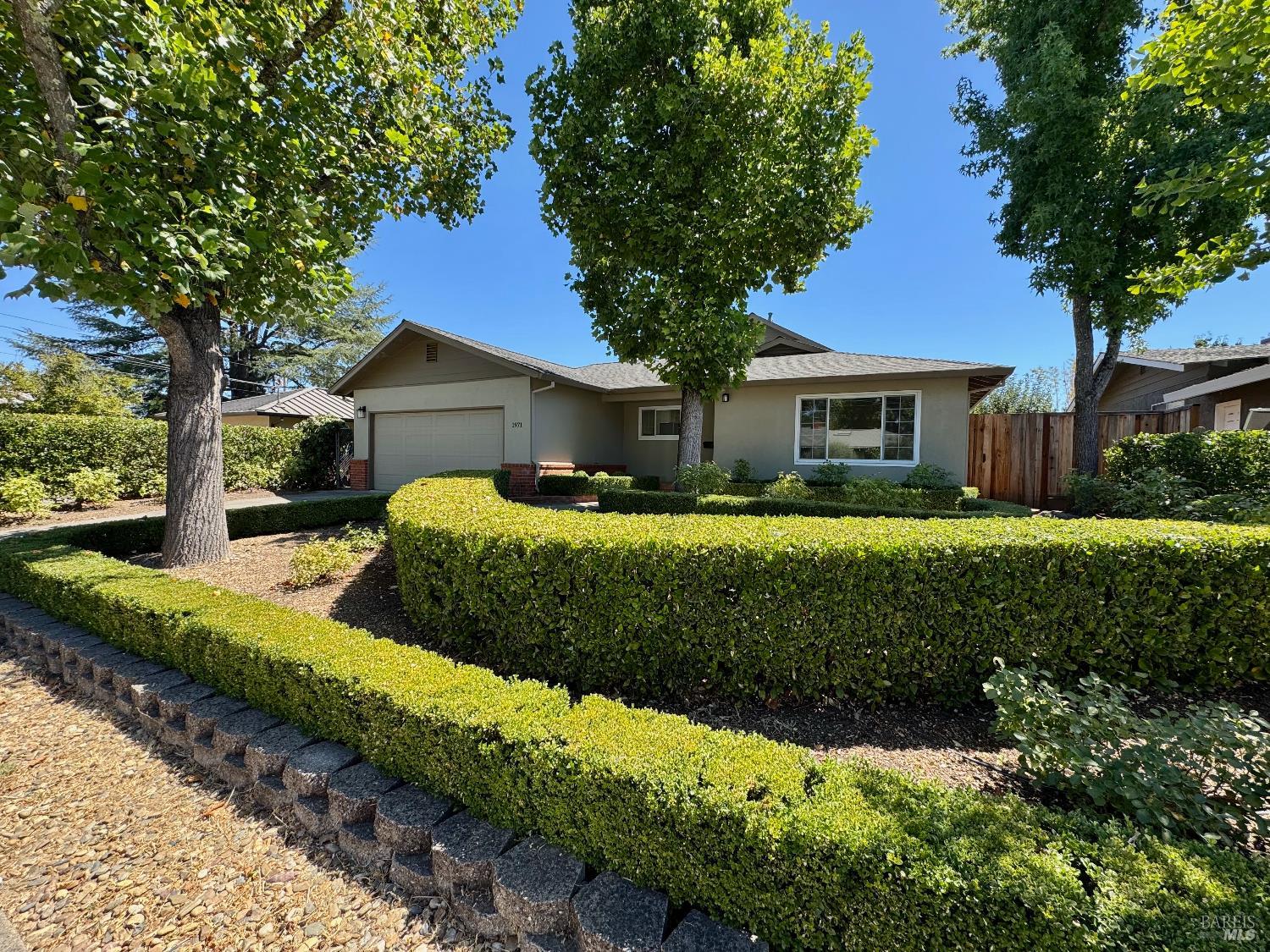 1971 Olive Ave
